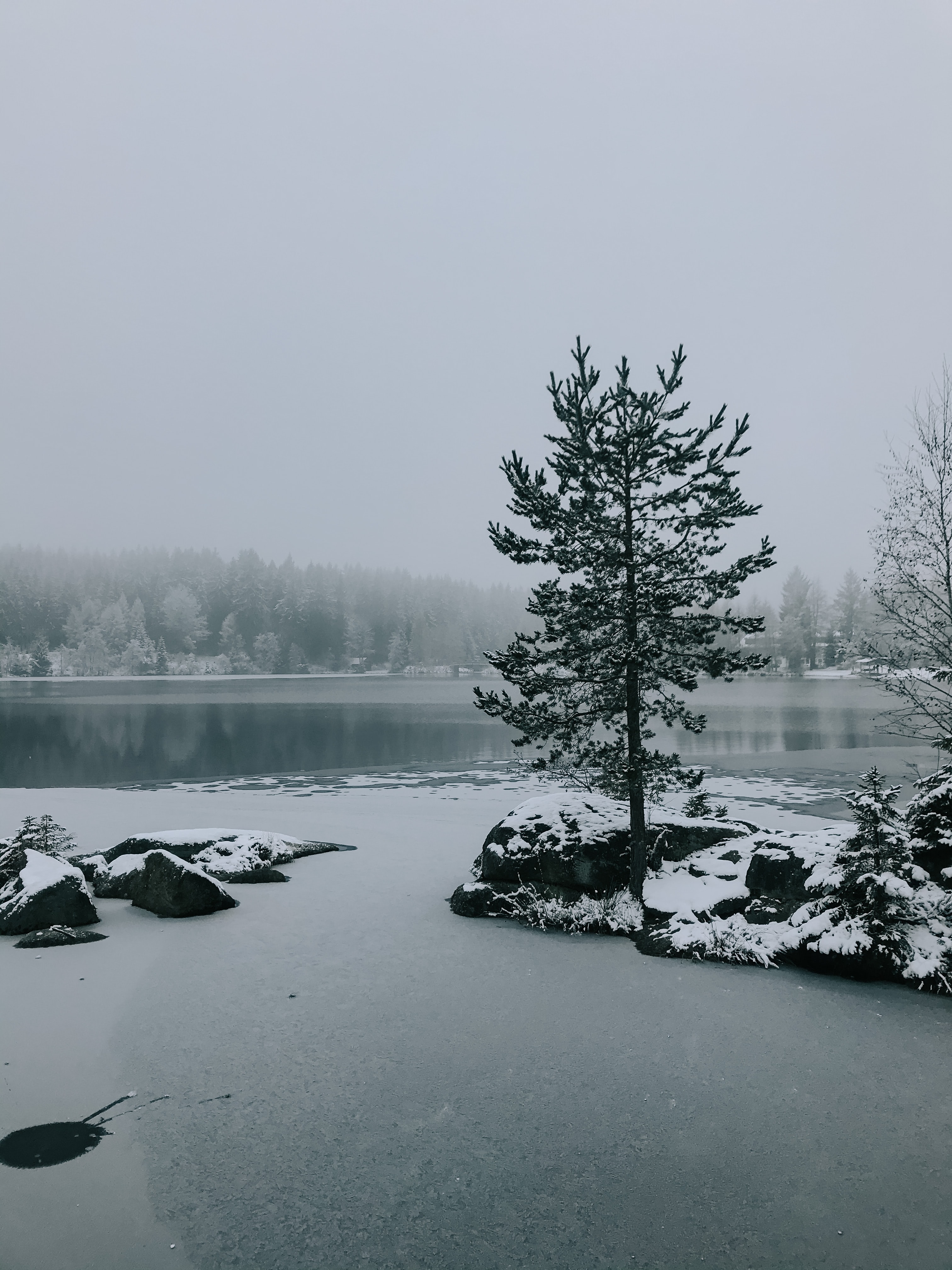 snow, landscape, winter, nature, lake, wood, tree
