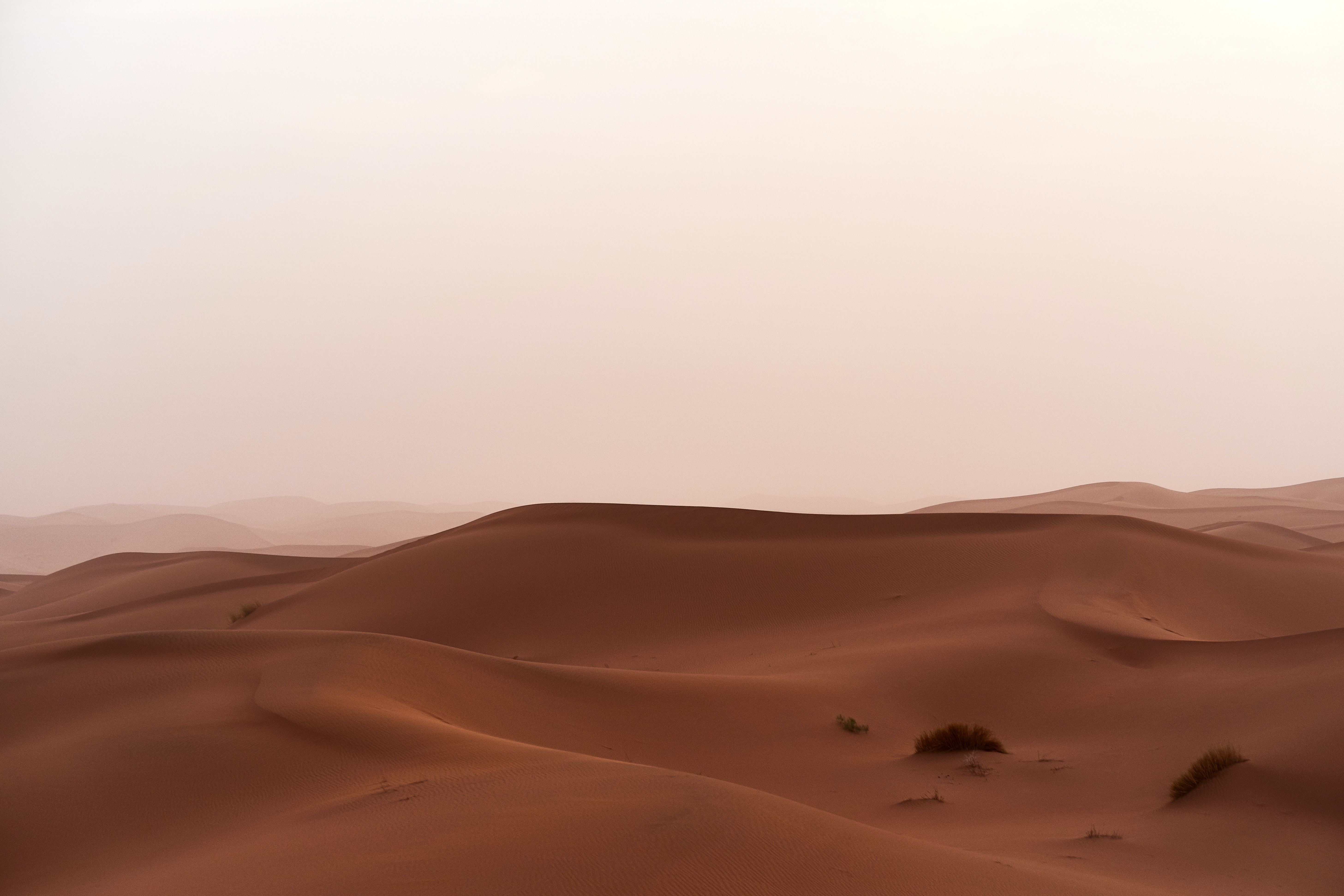 sand, dunes, grass, nature, desert, horizon