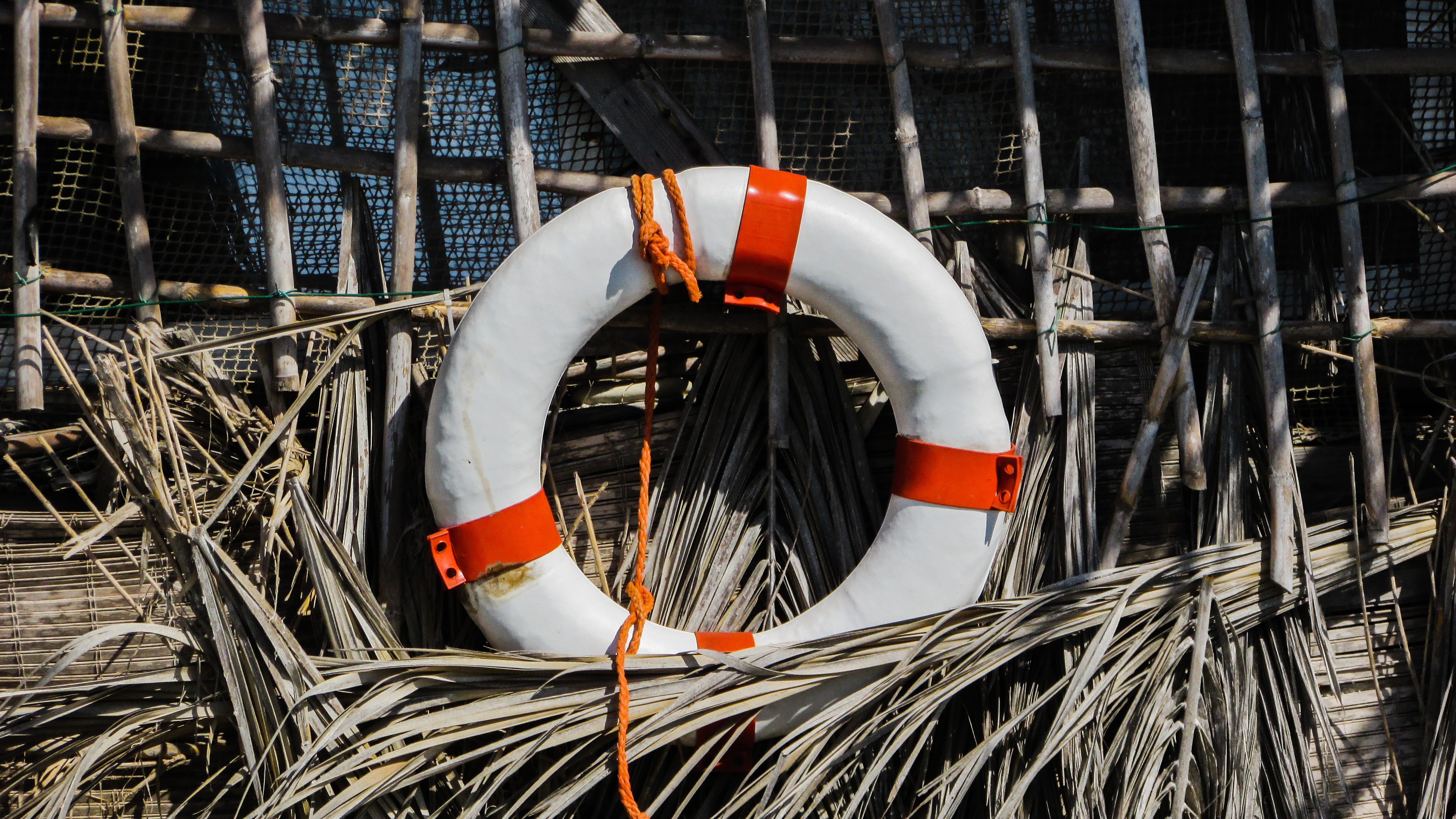 miscellaneous, life buoy, miscellanea, reeds Square Wallpapers