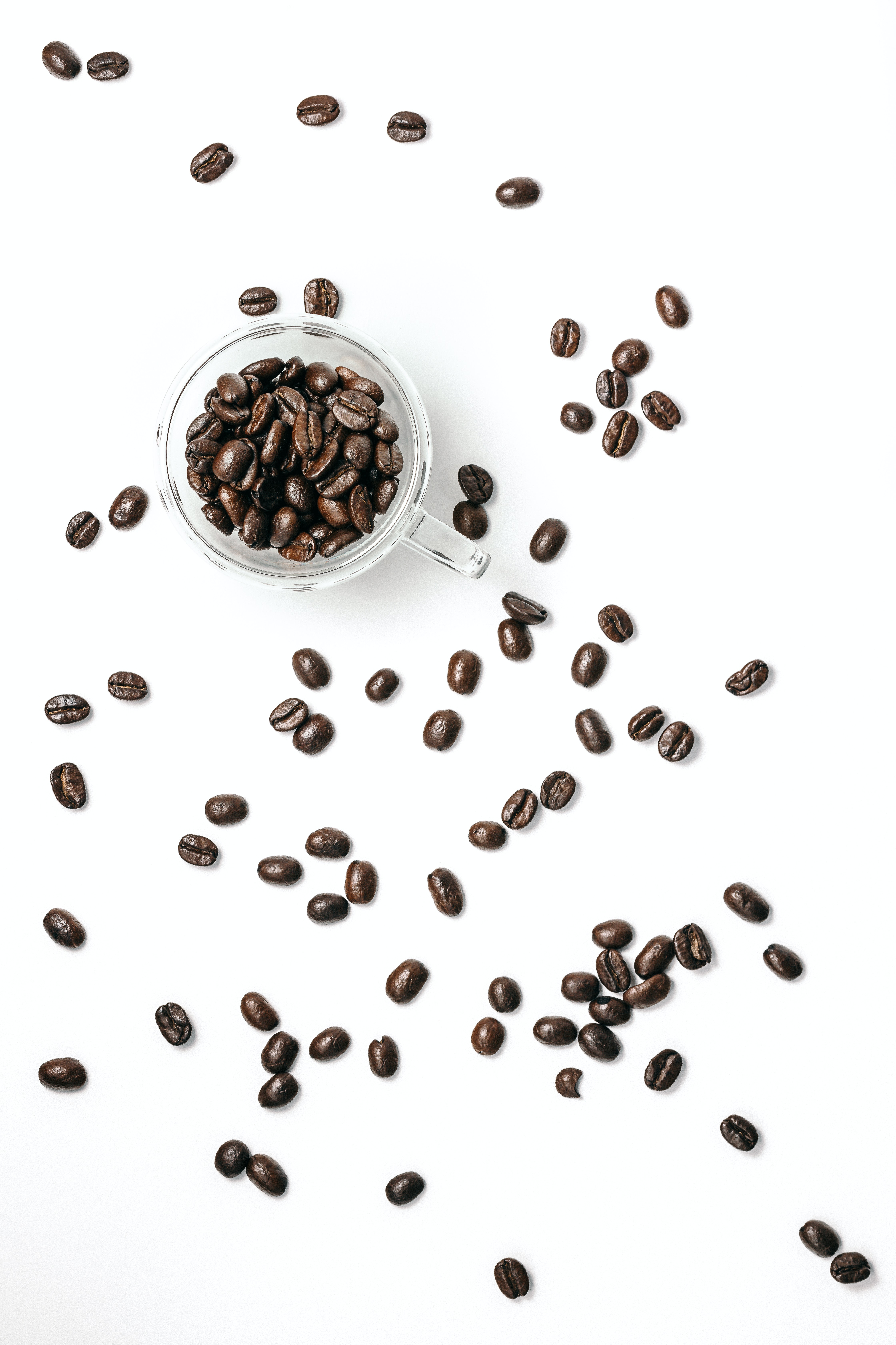 coffee beans, food, coffee, glass, grains, grain