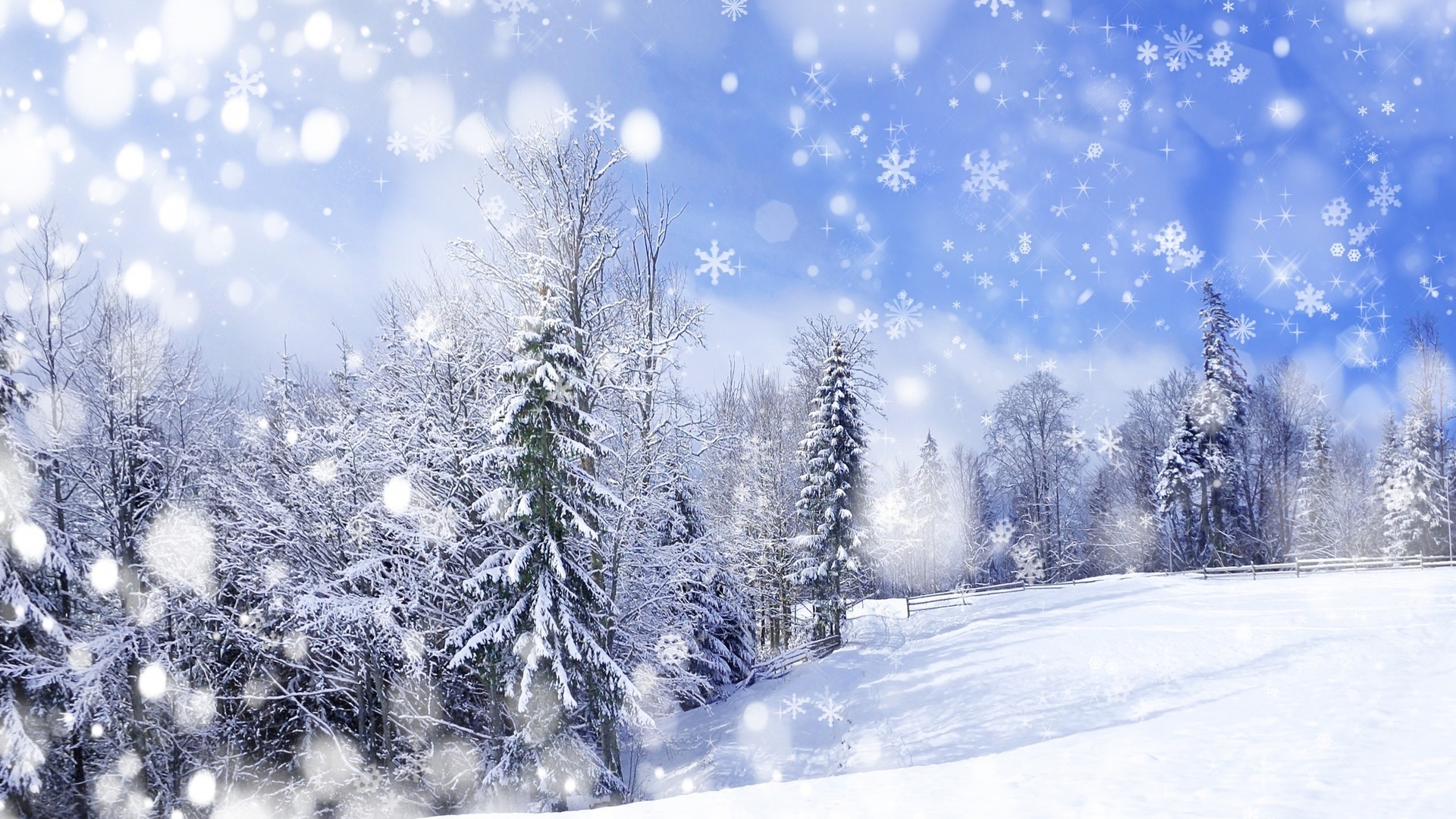 25579 Hintergrundbild herunterladen tannenbaum, landschaft, winter, bäume, schnee, blau - Bildschirmschoner und Bilder kostenlos