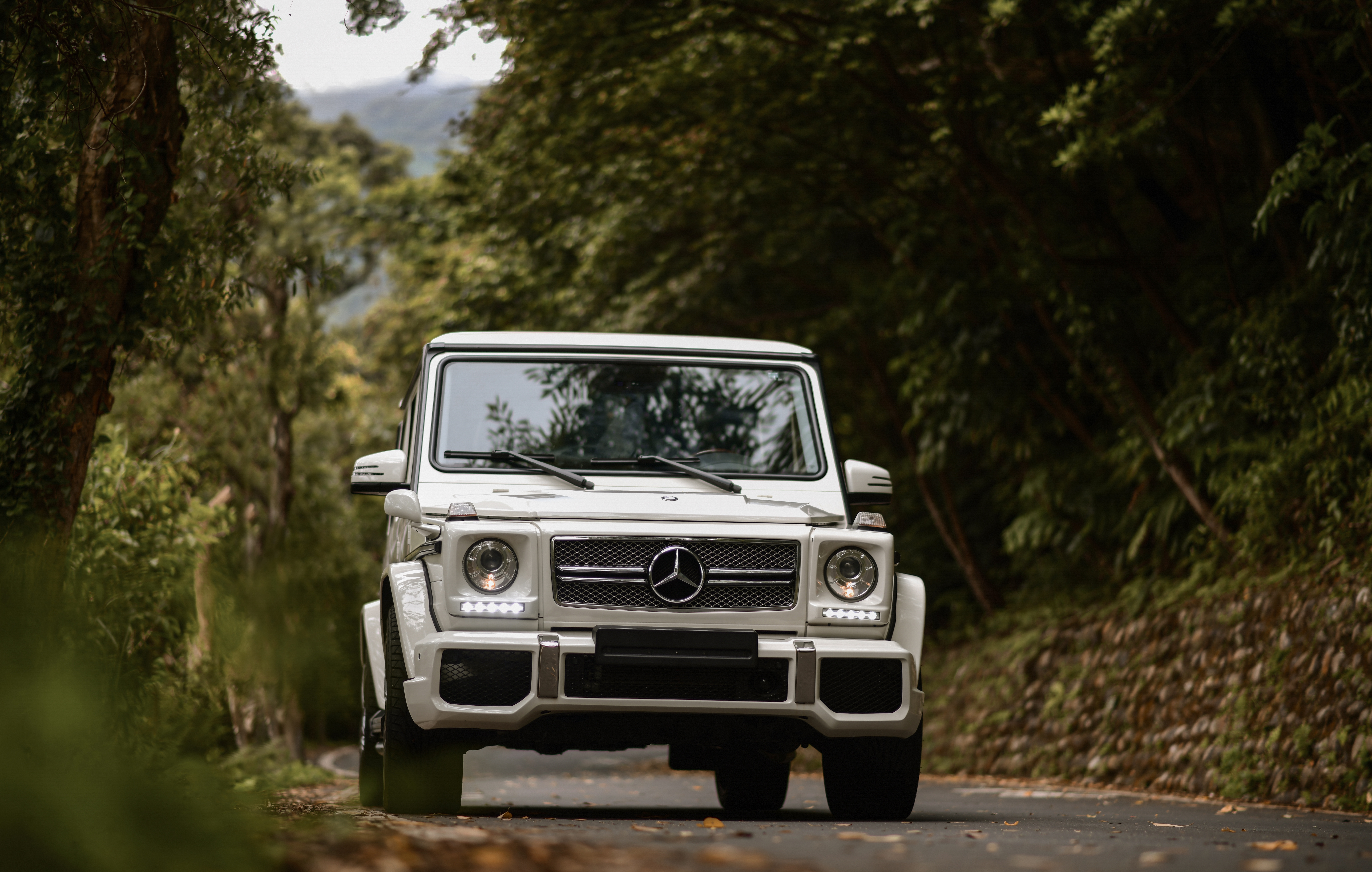 Mobile wallpaper: Mercedes Benz G Class, Mercedes, Mercedes Gelandewagen,  Suv, Grey, Front View, Cars, 94044 download the picture for free.
