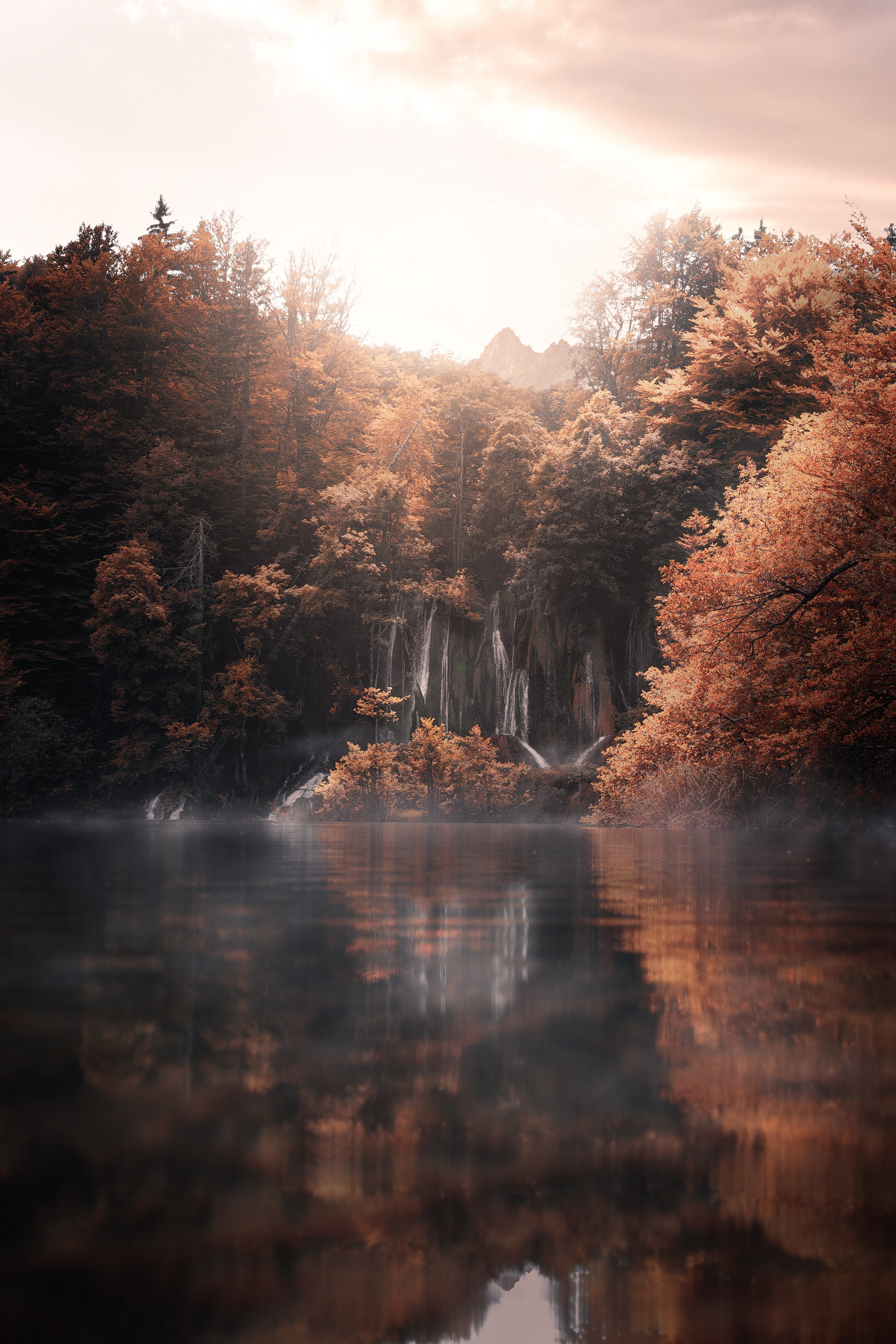 autumn, landscape, nature, trees, lake, fog QHD