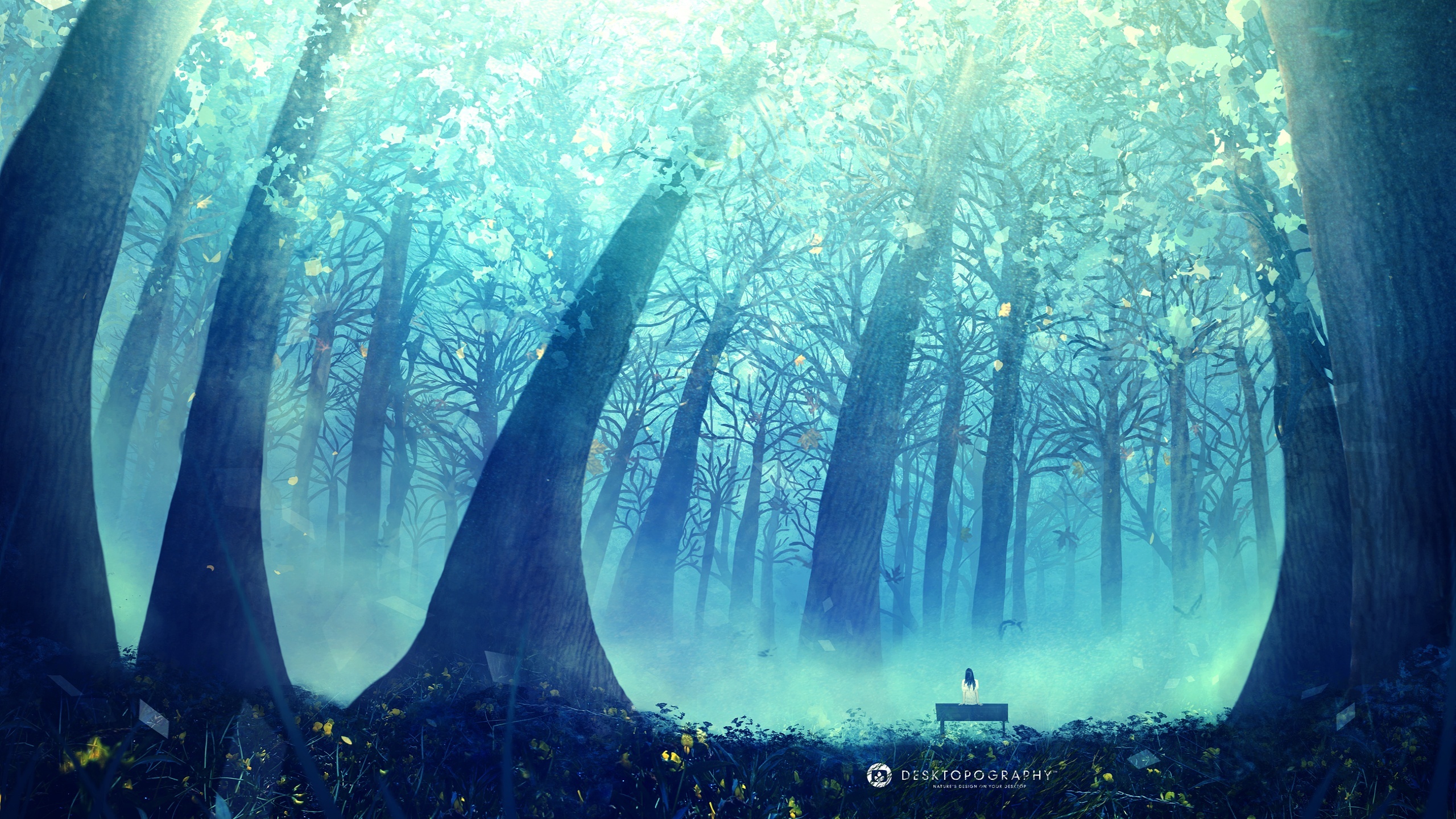 artistic, desktopography, bench, forest, tree download HD wallpaper
