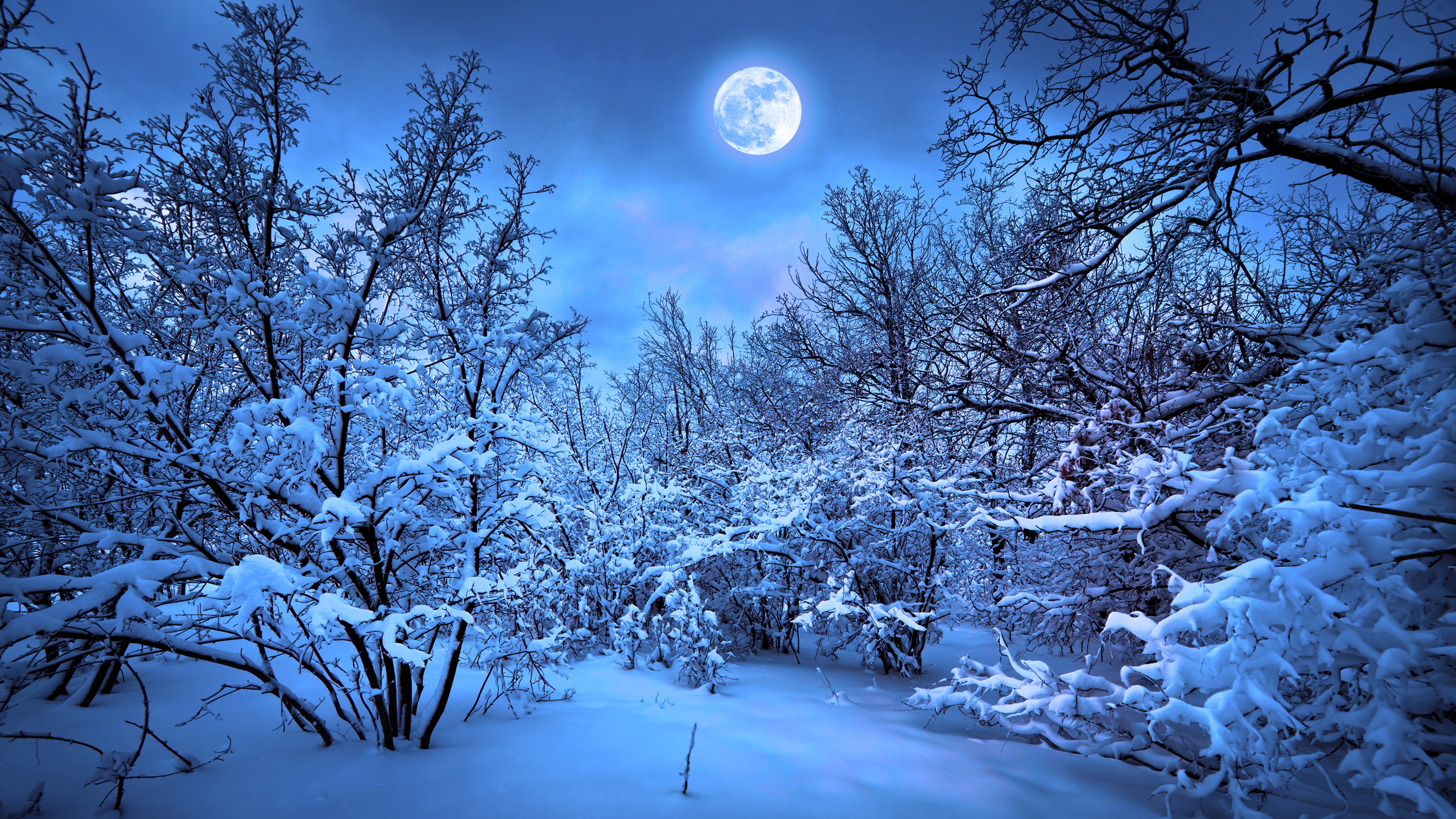 moon, earth wallpapers for tablet