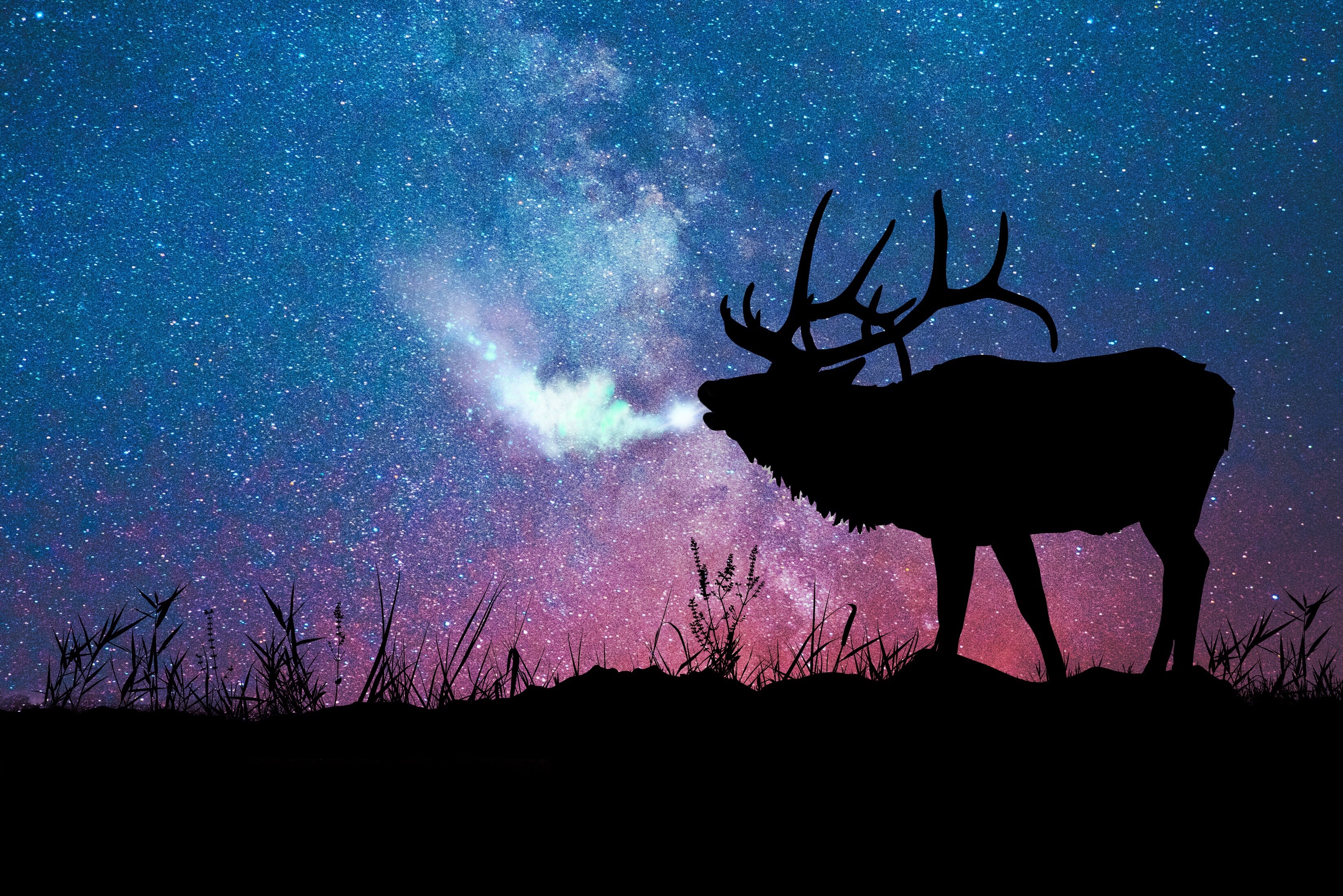vertical wallpaper deer, stars, dark, silhouette, galaxy