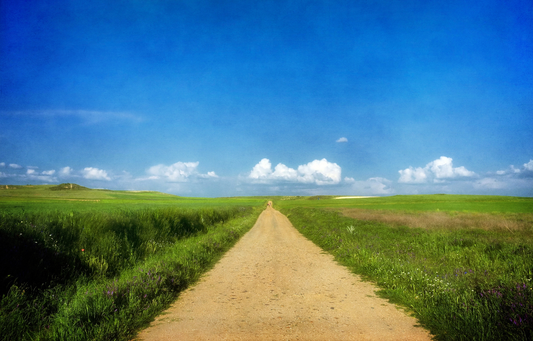 summer, nature, grass, sky, clouds, road, sunny