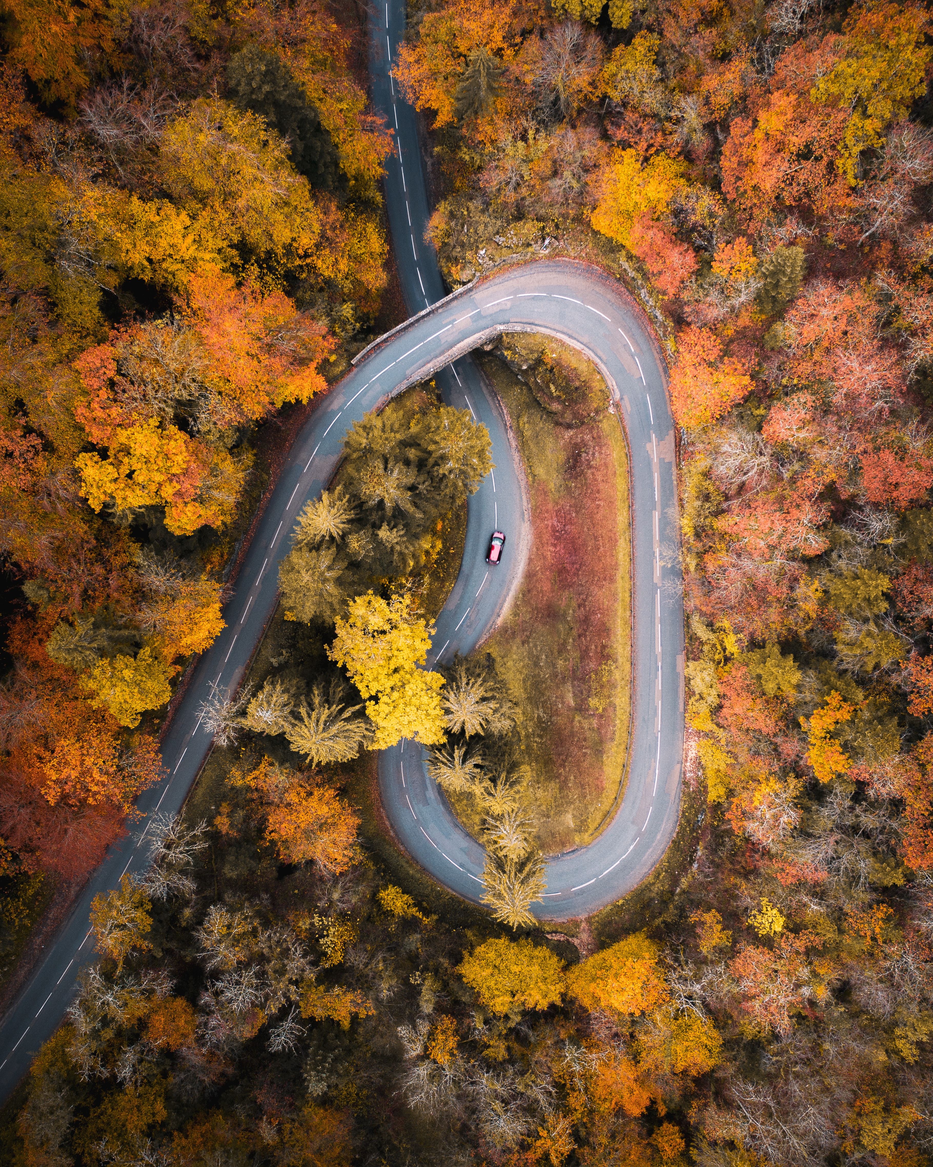 car, nature, trees, autumn, view from above, road cellphone