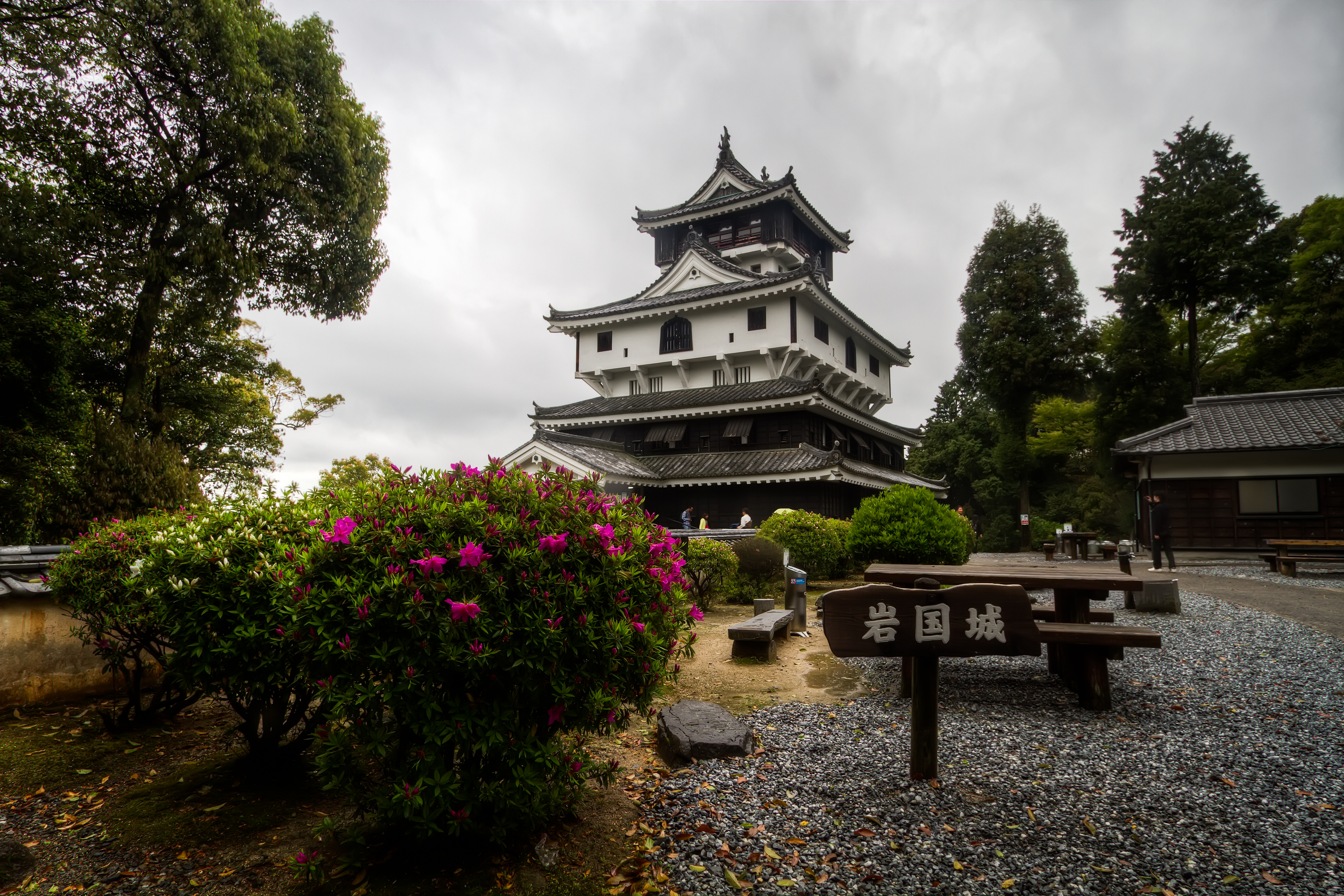 4K for PC blossom, iwakuni castle, architecture, castles Bush