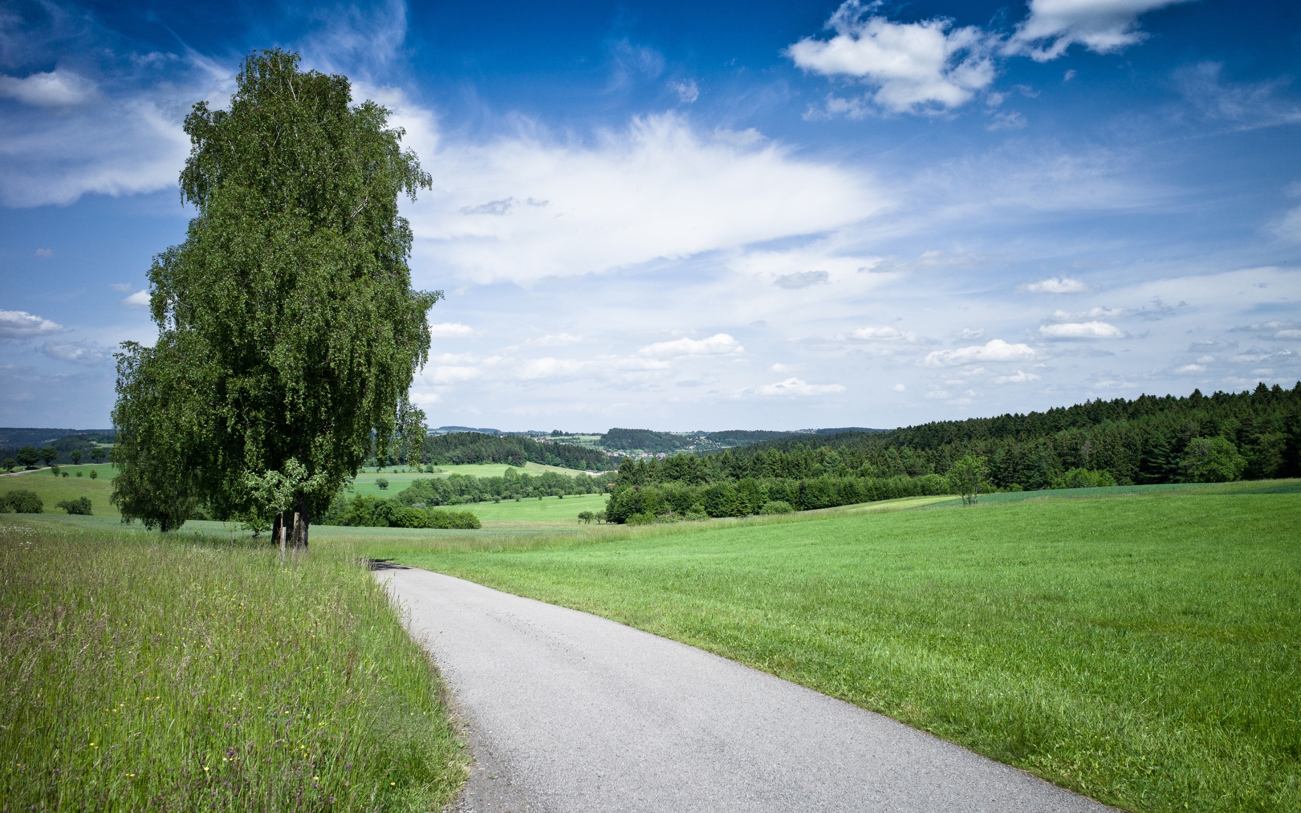 roads, trees, clouds, landscape Fields HD Android Wallpapers