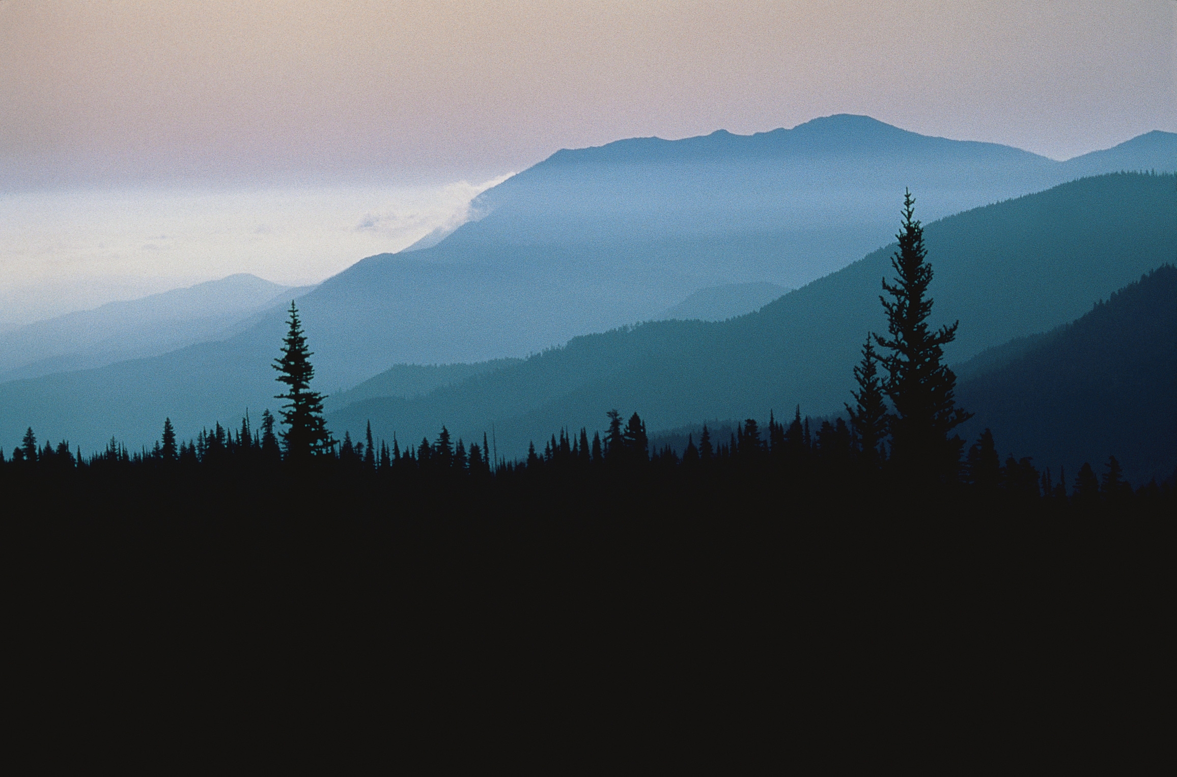 mountains, fog, nature, coniferous Square Wallpapers