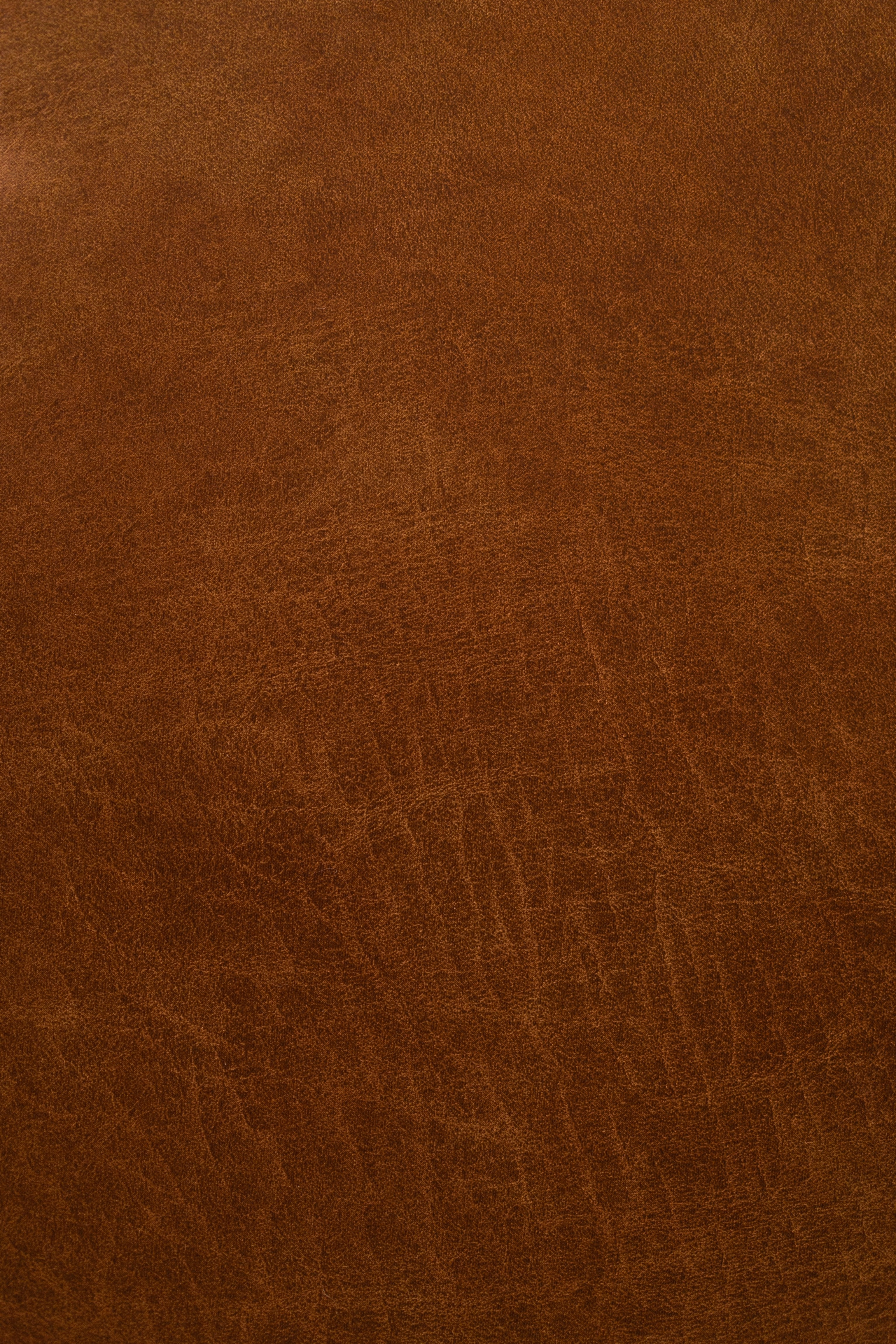 skin, leather, surface, texture, textures, brown Free Stock Photo