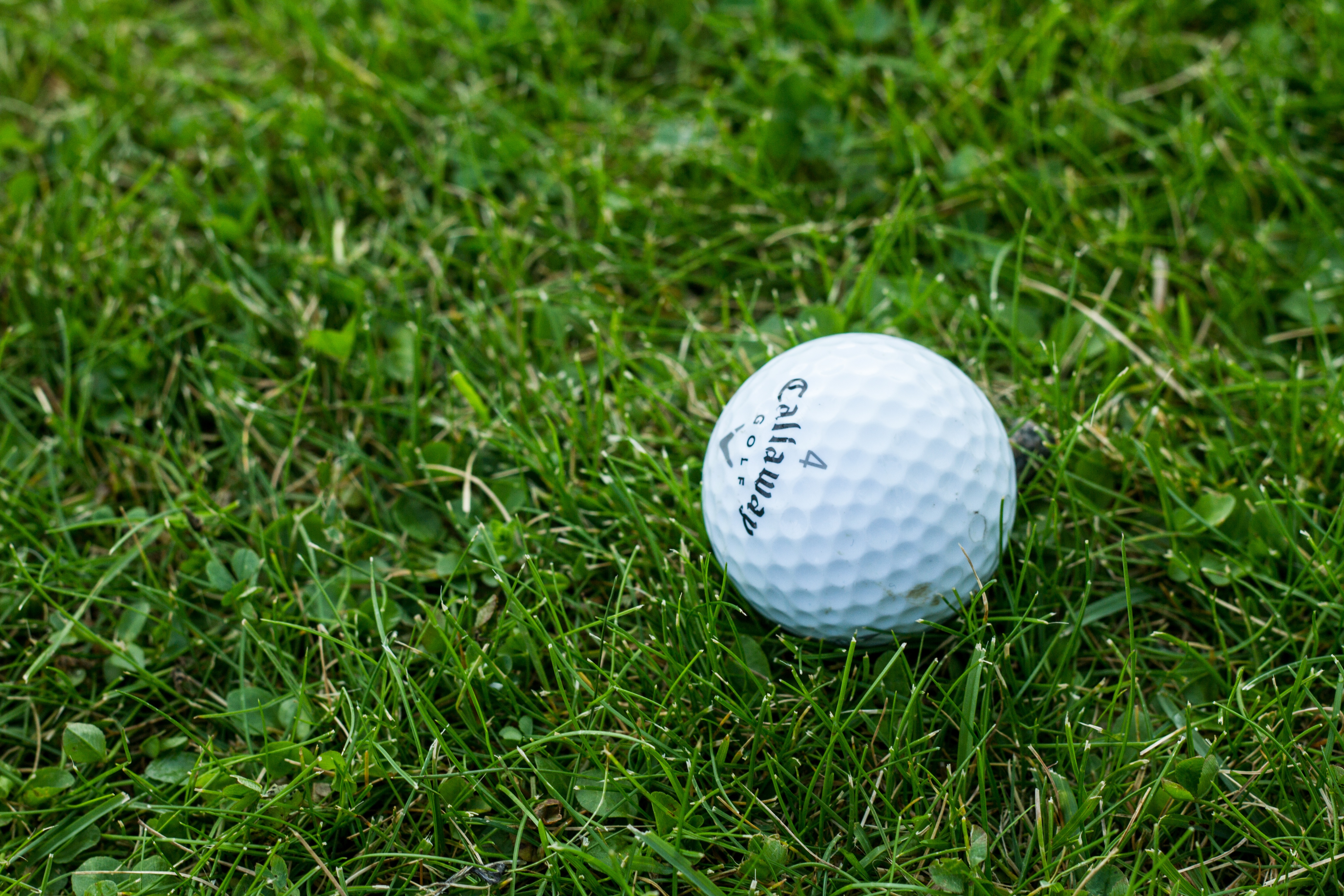 135073 Hintergrundbild herunterladen golf, sport, grass, ball - Bildschirmschoner und Bilder kostenlos