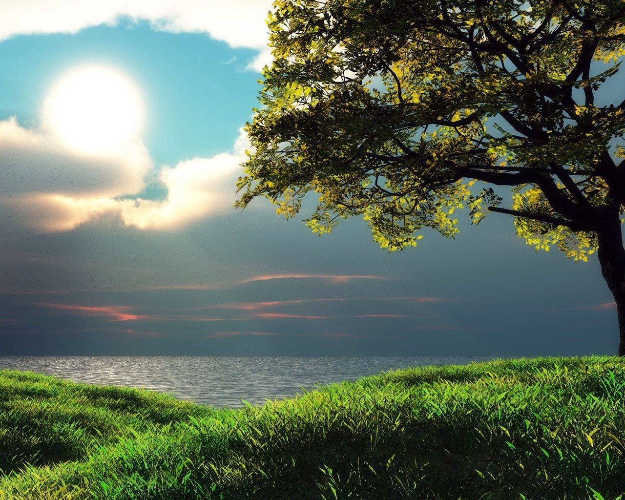 greens, sunlight, clouds, sky, nature, grass, wood, tree HD wallpaper