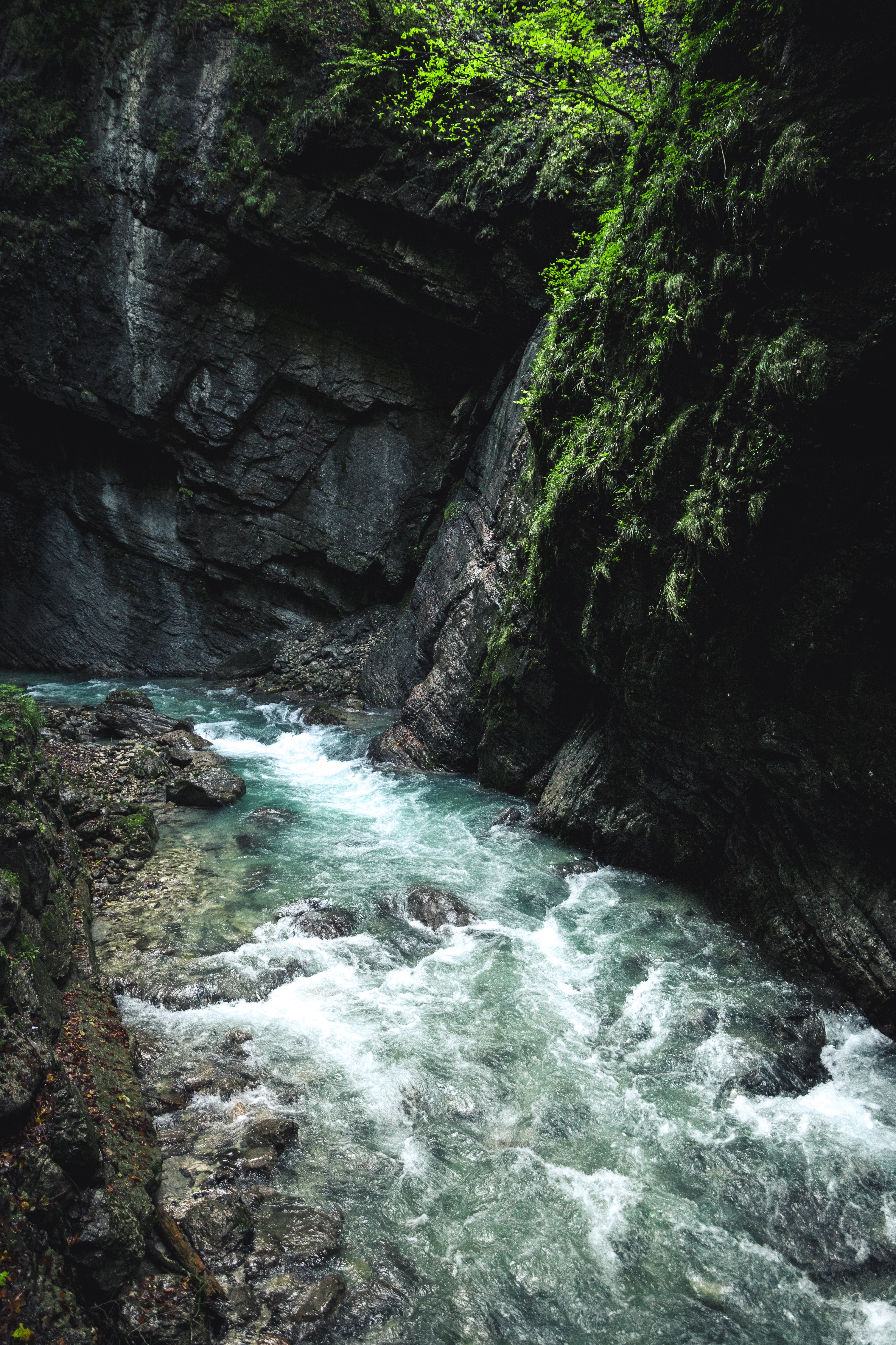 stream, nature, water, rivers, rocks, flow 8K