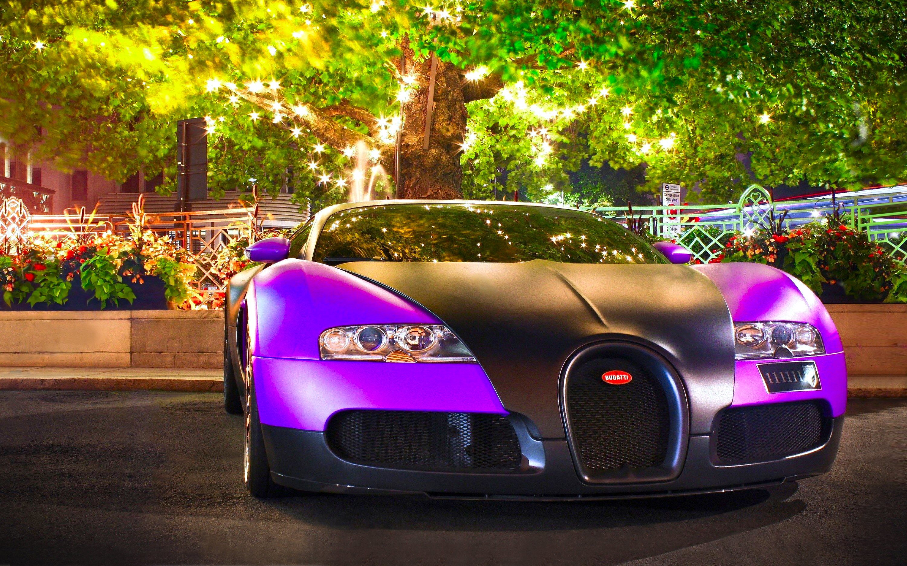 purple, bugatti veyron, vehicles, bugatti, car