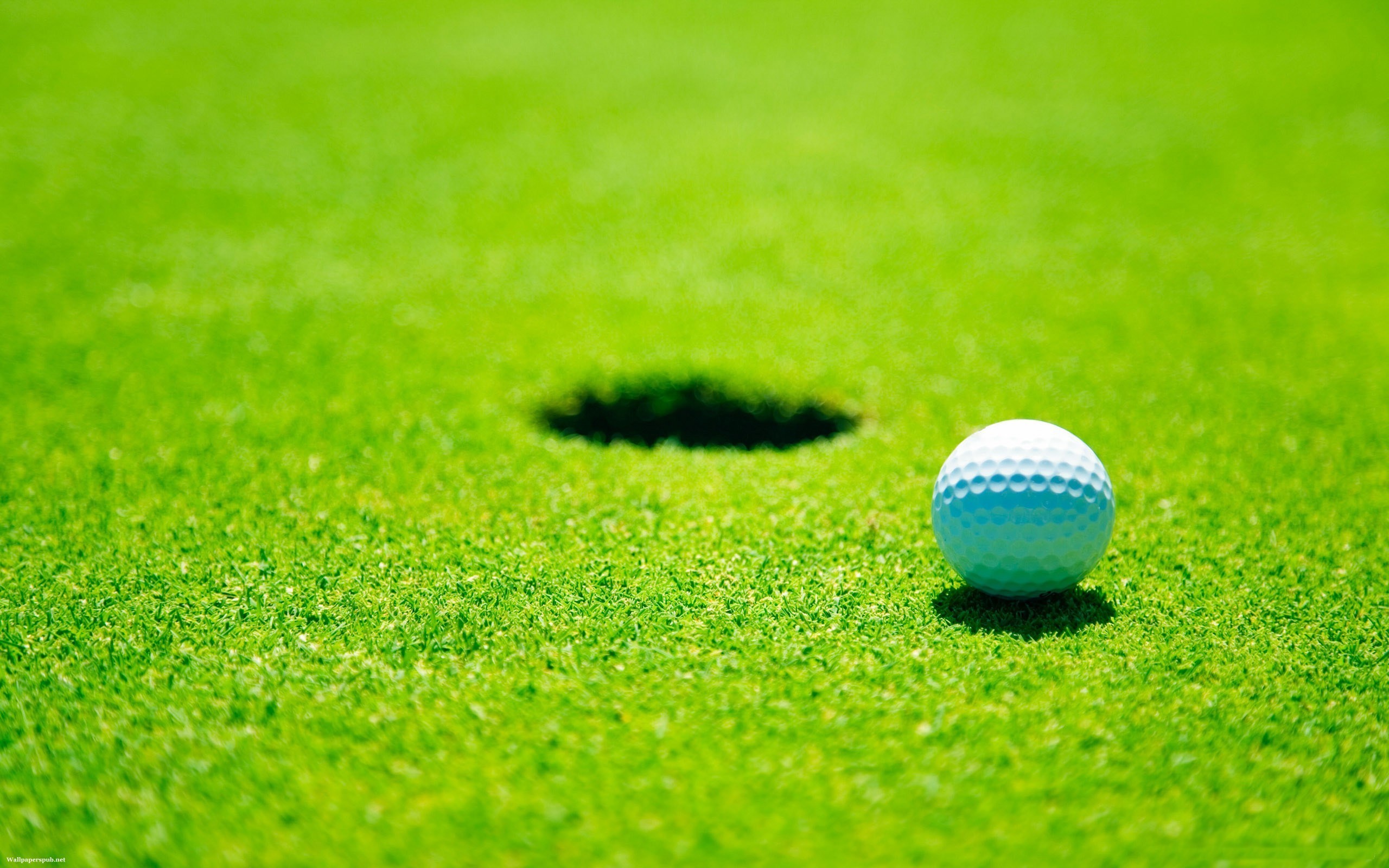26721 Hintergrundbild herunterladen golf, sport, hintergrund, grün - Bildschirmschoner und Bilder kostenlos