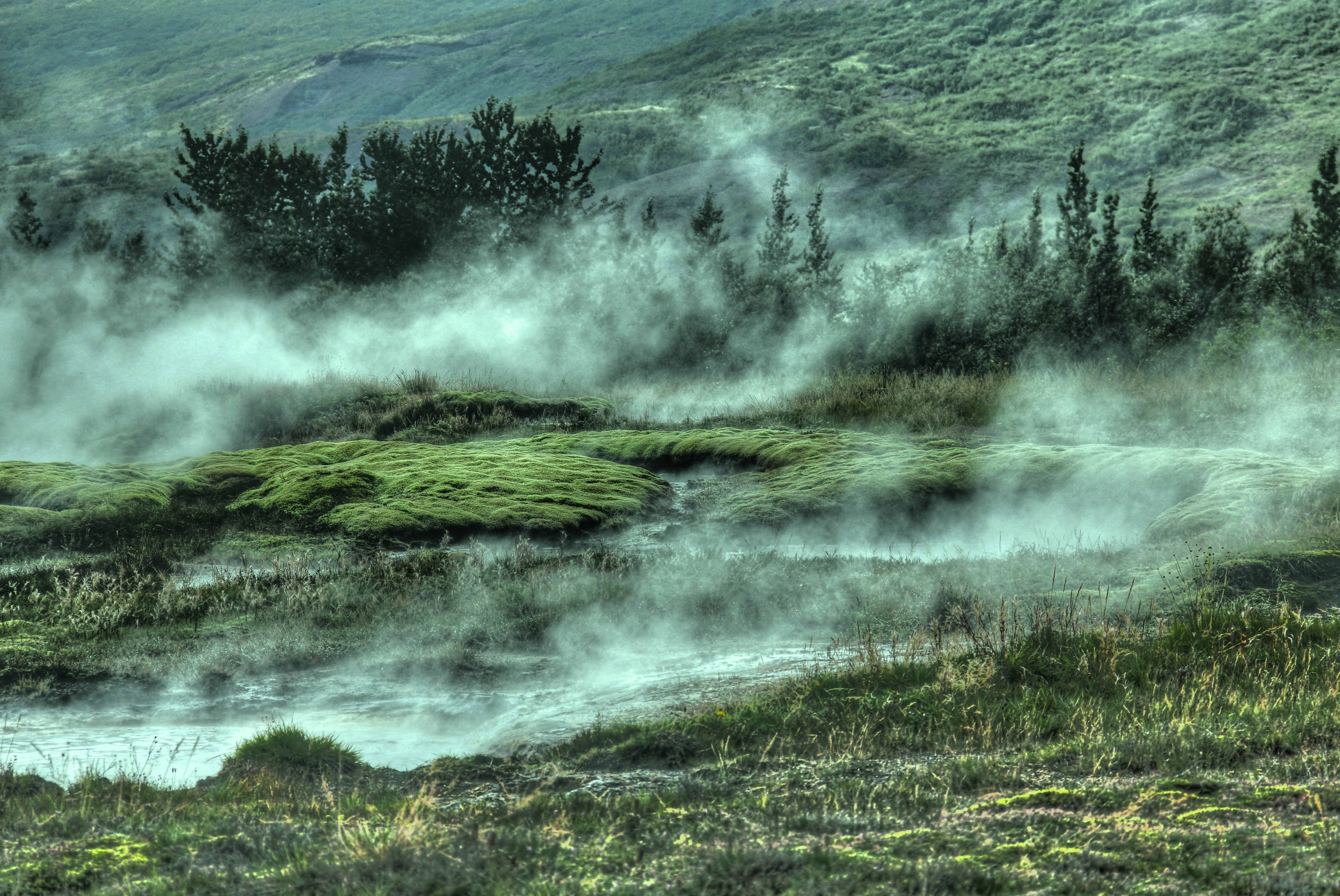 fog, nature, grass, bush, hills wallpaper for mobile