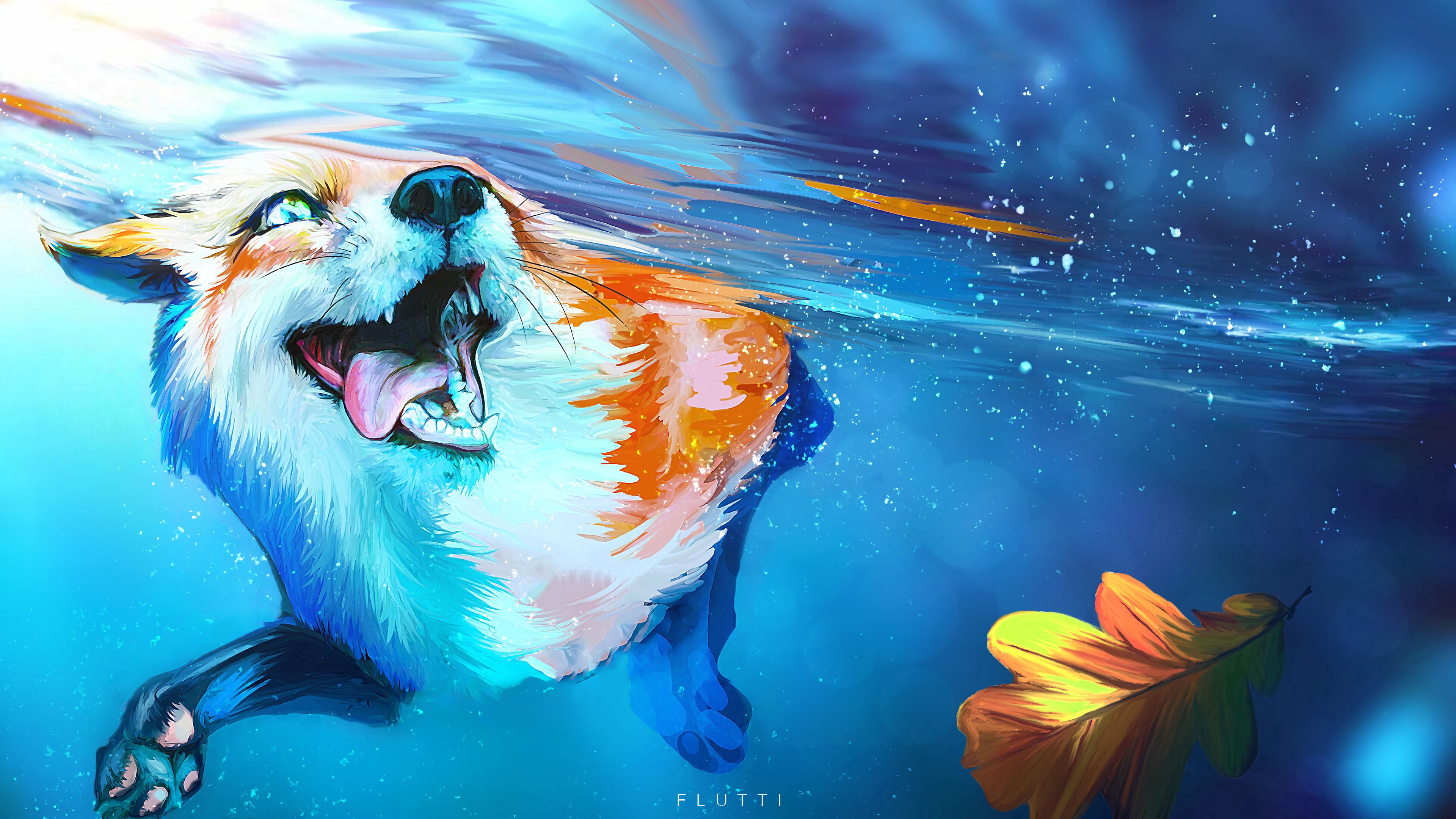 QHD wallpaper art, to swim, fox, tongue stuck out