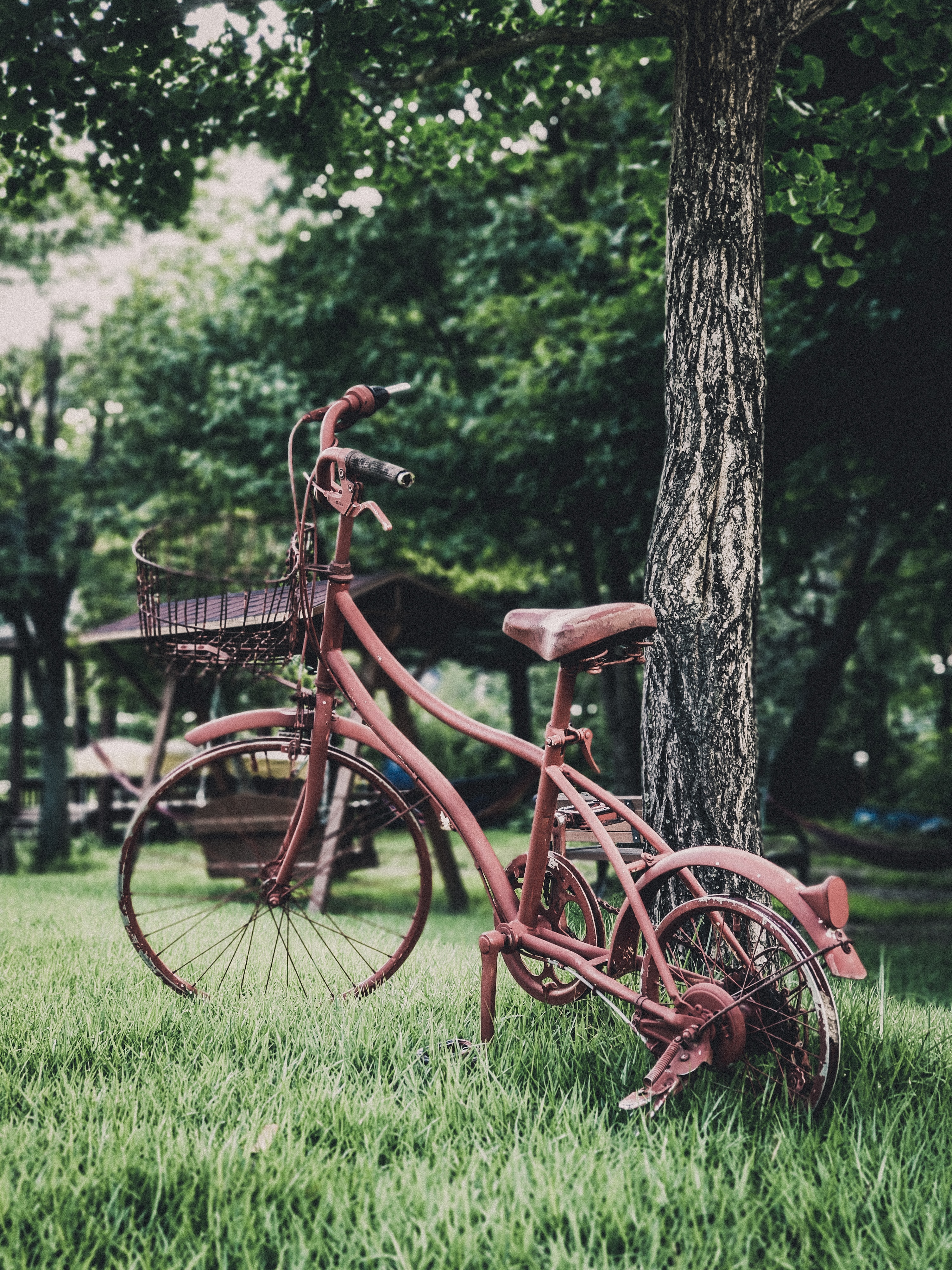 Cool HD Wallpaper bicycle, miscellaneous, miscellanea, garden