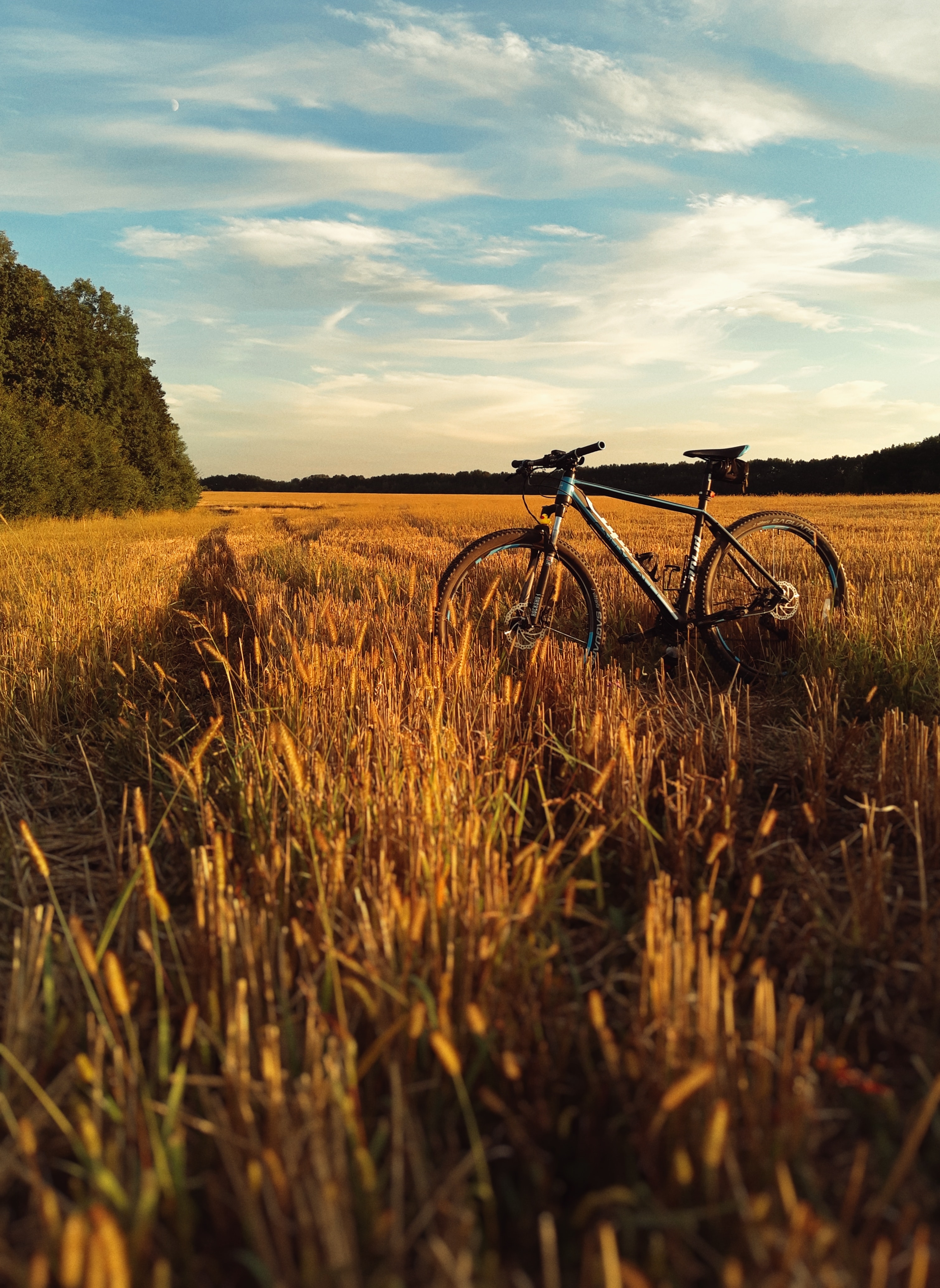 grass, sky, horizon, miscellanea, miscellaneous, field, bicycle