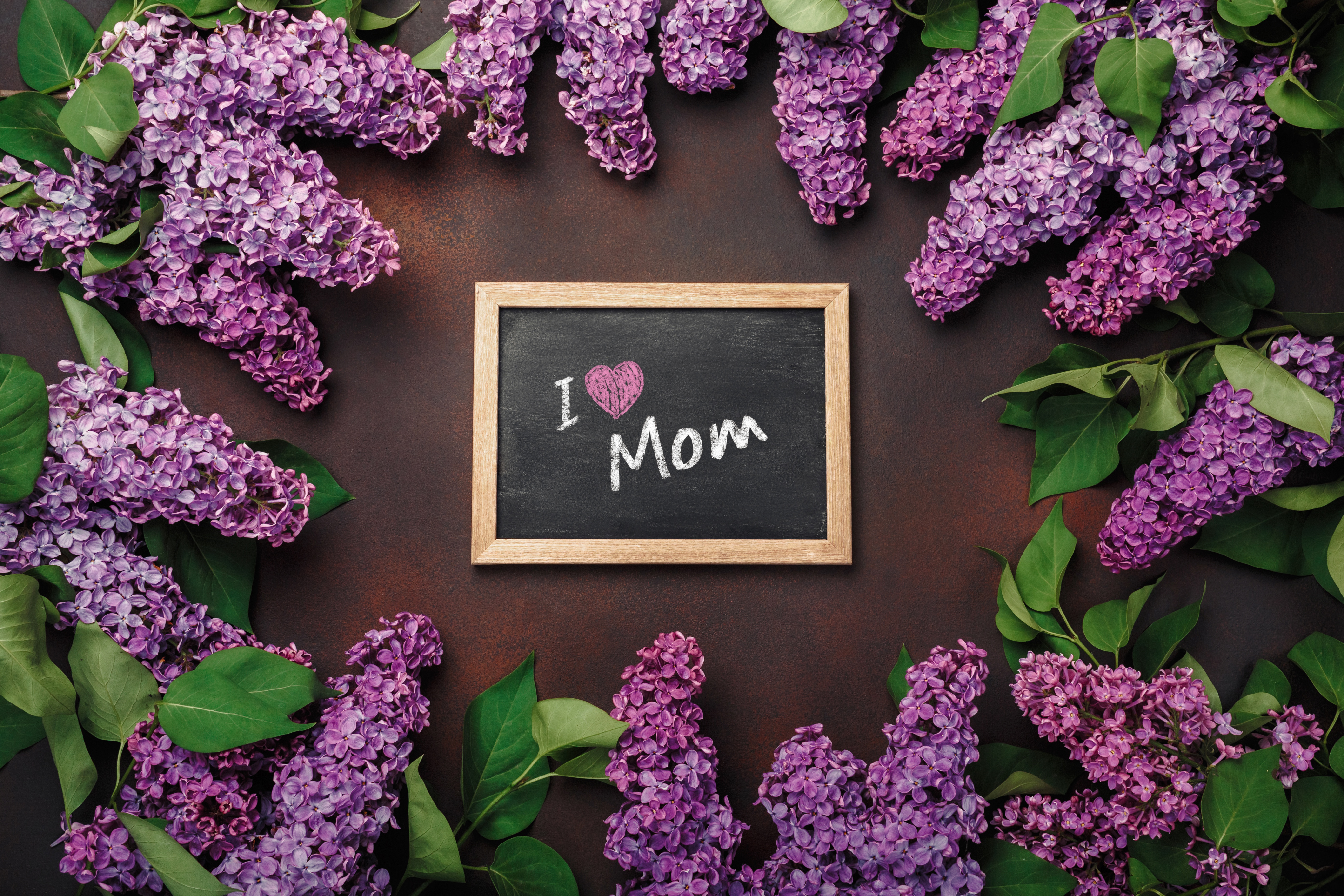 HD desktop wallpaper: Lilac, Flower, Holiday, Purple Flower, Mother's Day  download free picture #978136