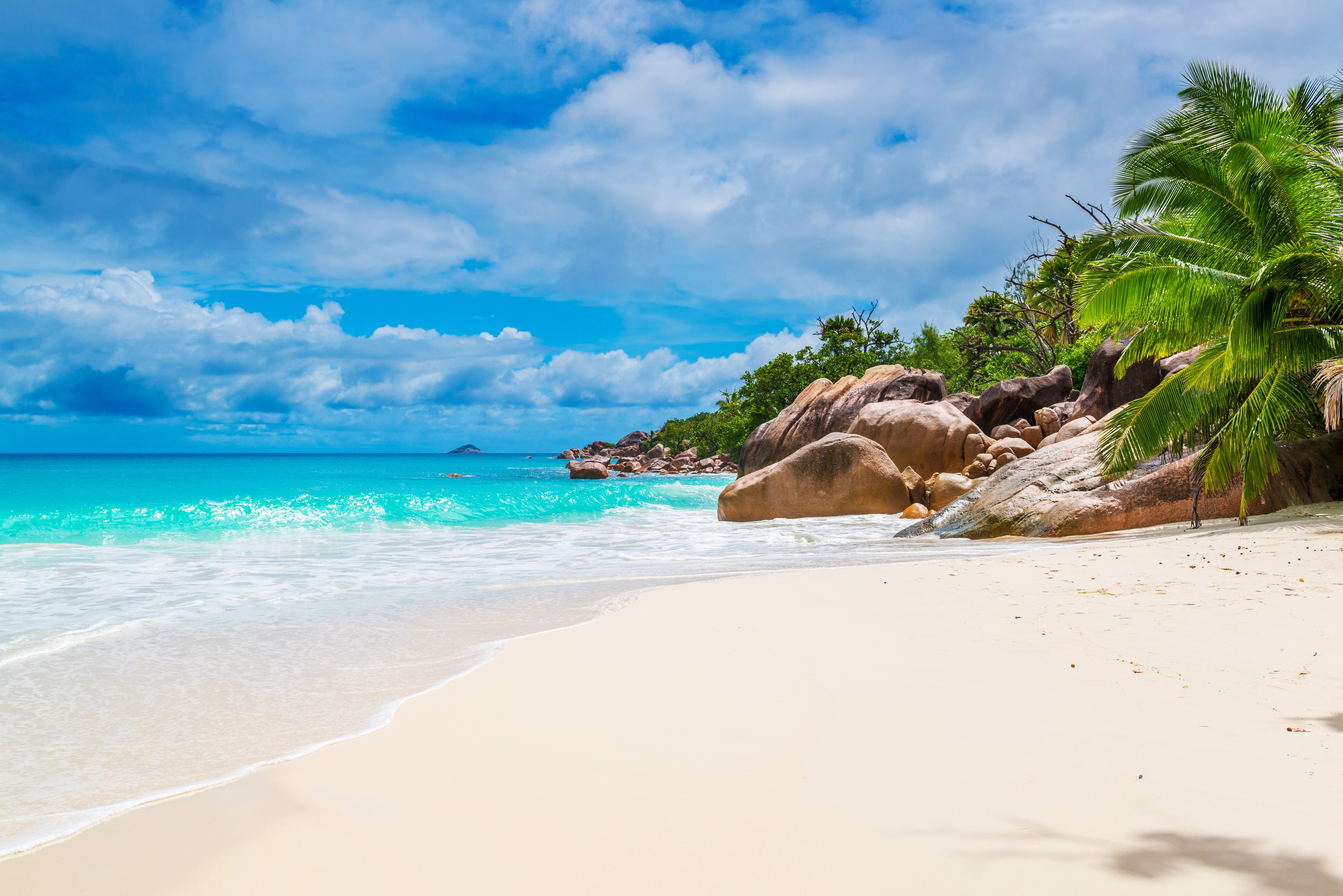 maldives, seychelles, beach, coast, sand, earth, ocean, palm tree, tropical Free Stock Photo