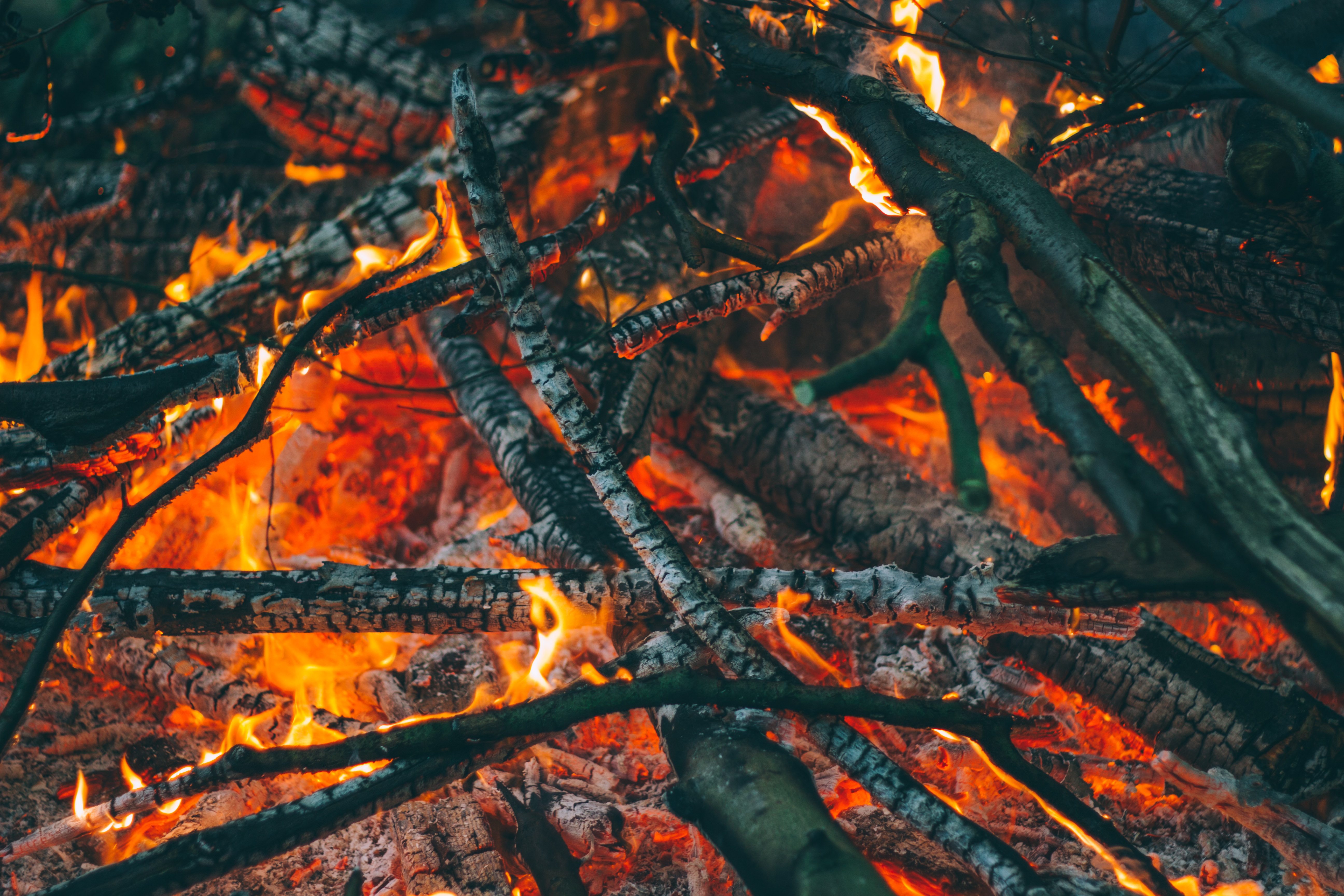 Laden Sie das Feuer, Bonfire, Kohlen, Verschiedenes, Sonstige, Asche, Ash-Bild kostenlos auf Ihren PC-Desktop herunter