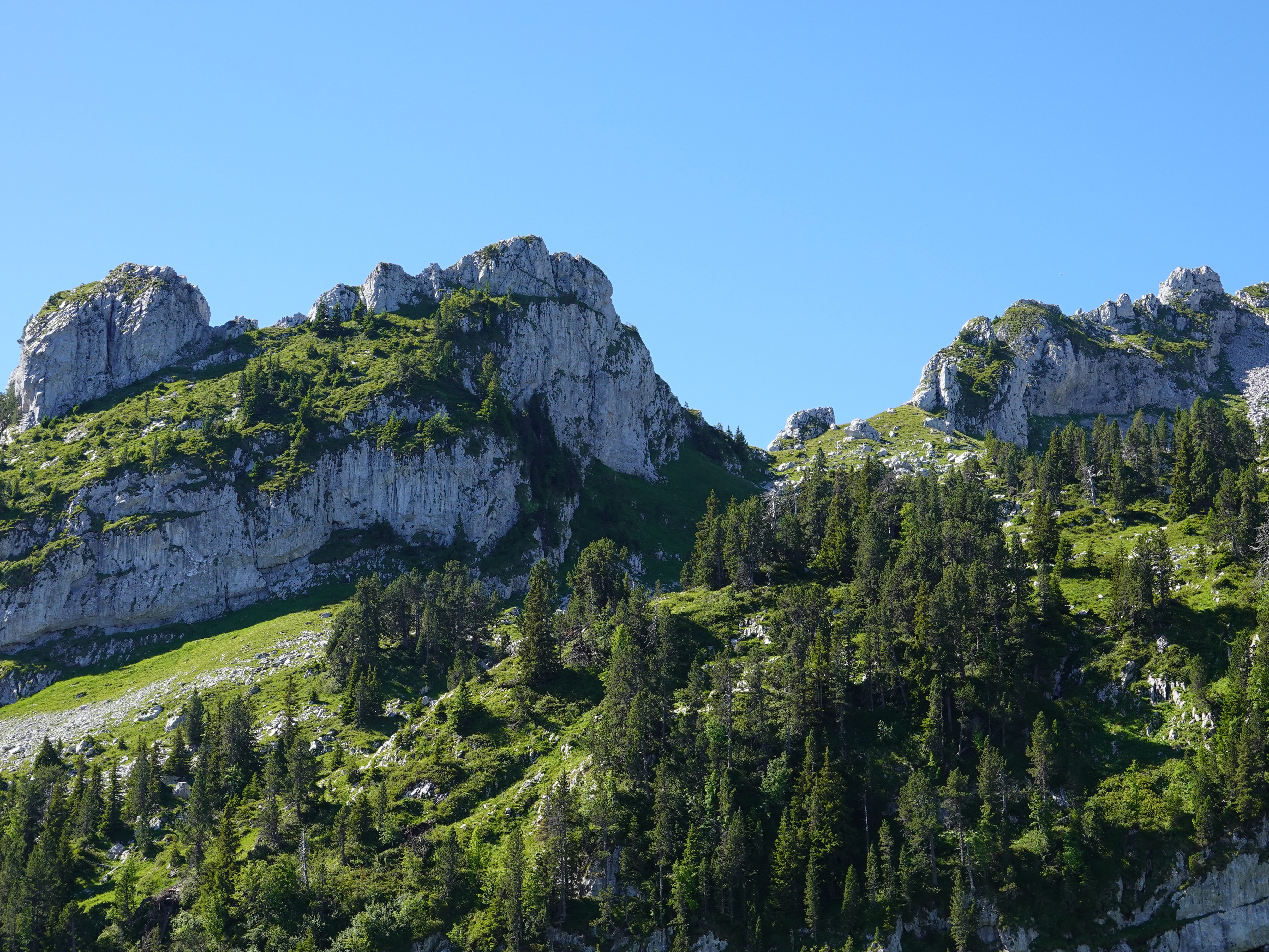 mountain, nature, trees, rocks 1080p