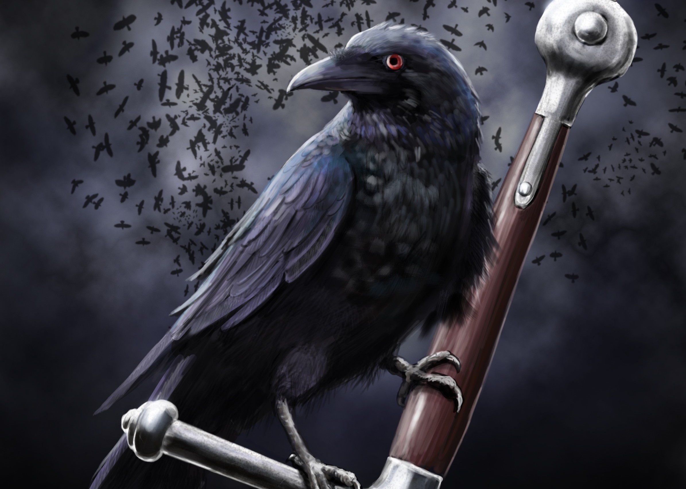 animal, crow HD Wallpaper for Phone