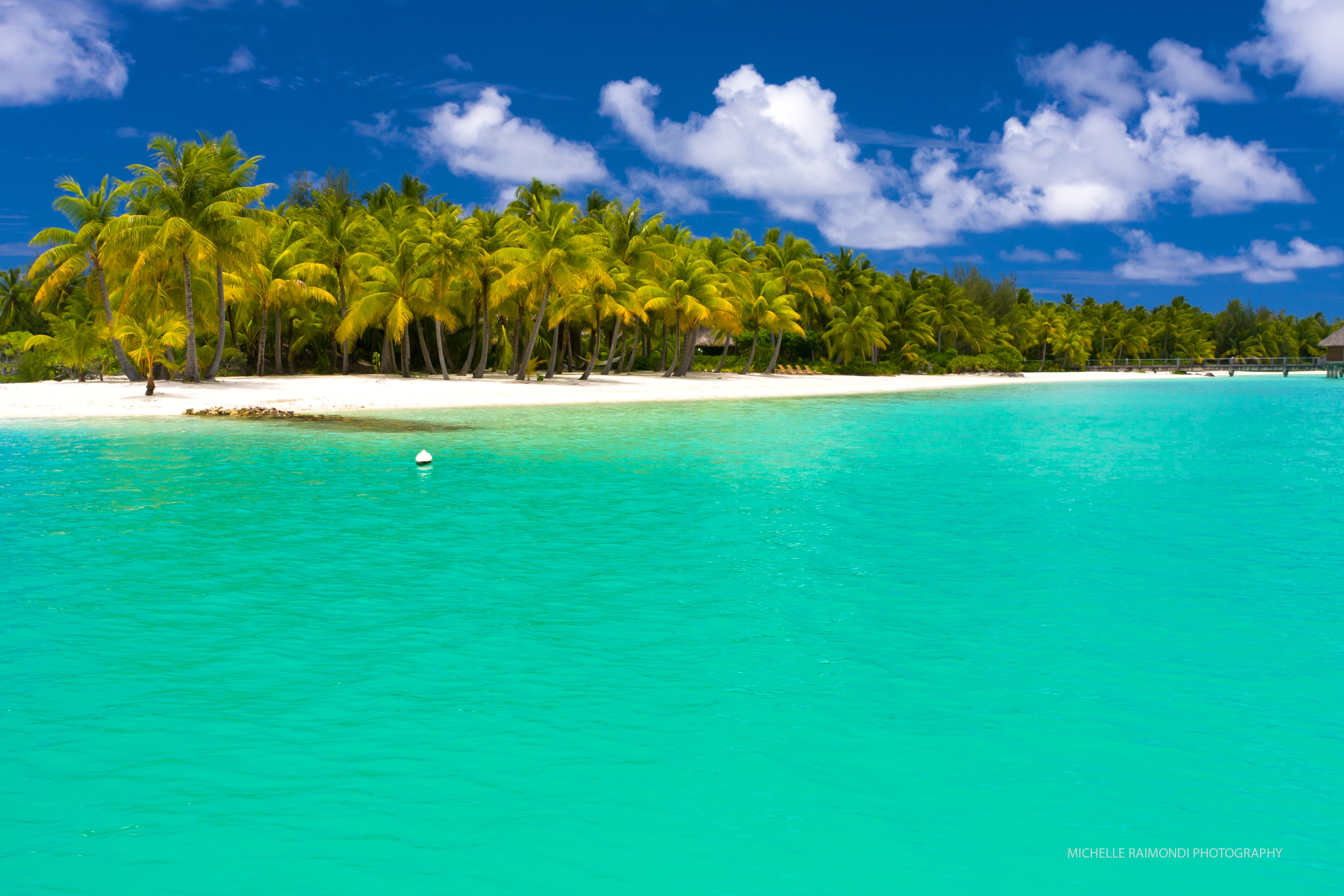 summer, maldives, beach, nature, palms, tropics