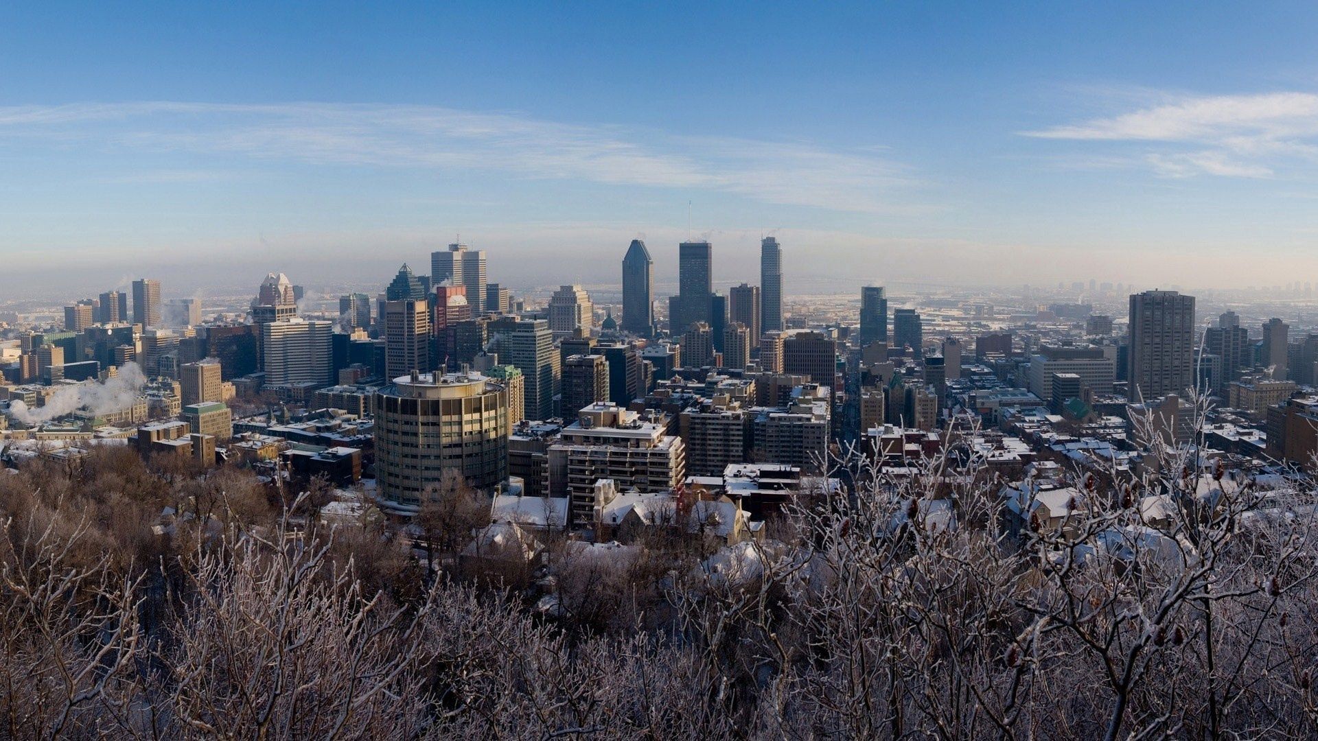 126958 скачать обои монреаль, города, зима, деревья, снег, канада, canada, montreal - заставки и картинки бесплатно