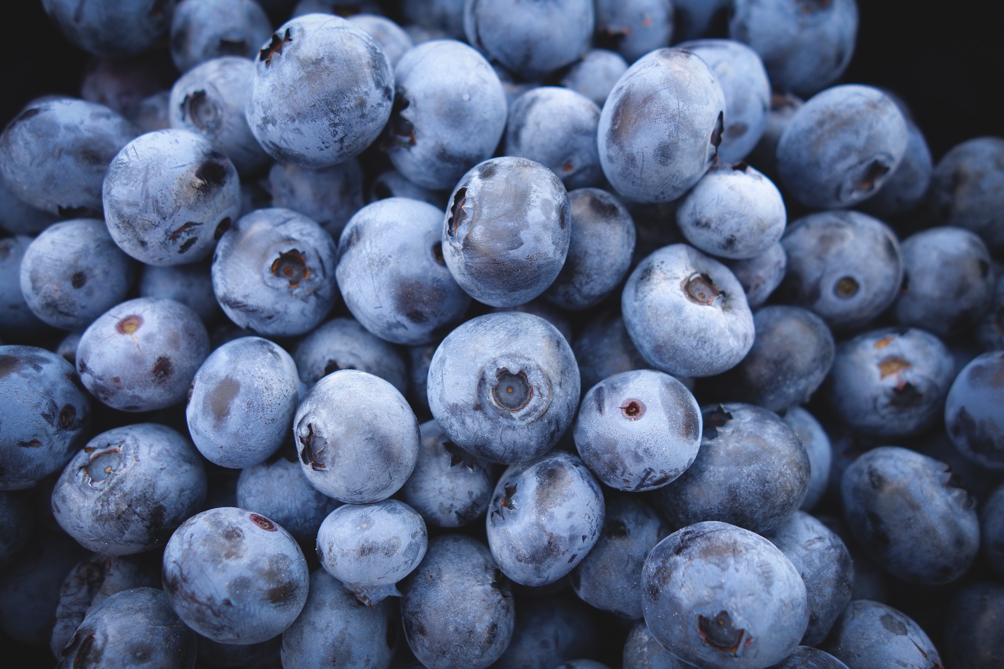 141546 Hintergrundbild herunterladen lebensmittel, blueberry, blaubeeren, berries - Bildschirmschoner und Bilder kostenlos