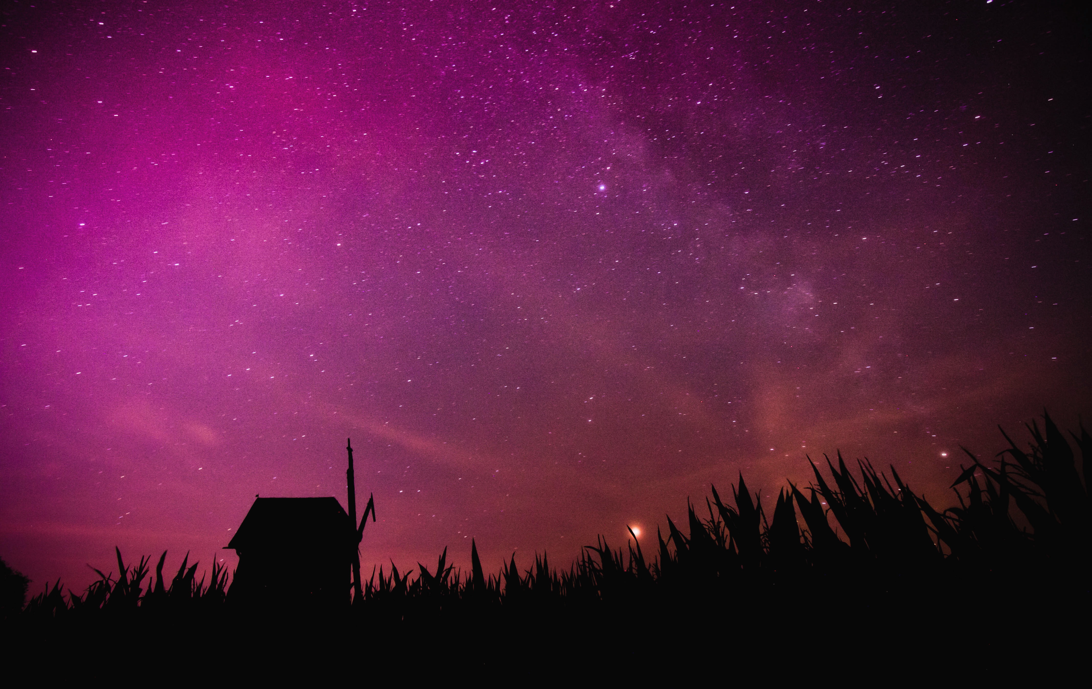 Widescreen image starry sky, outlines, nature