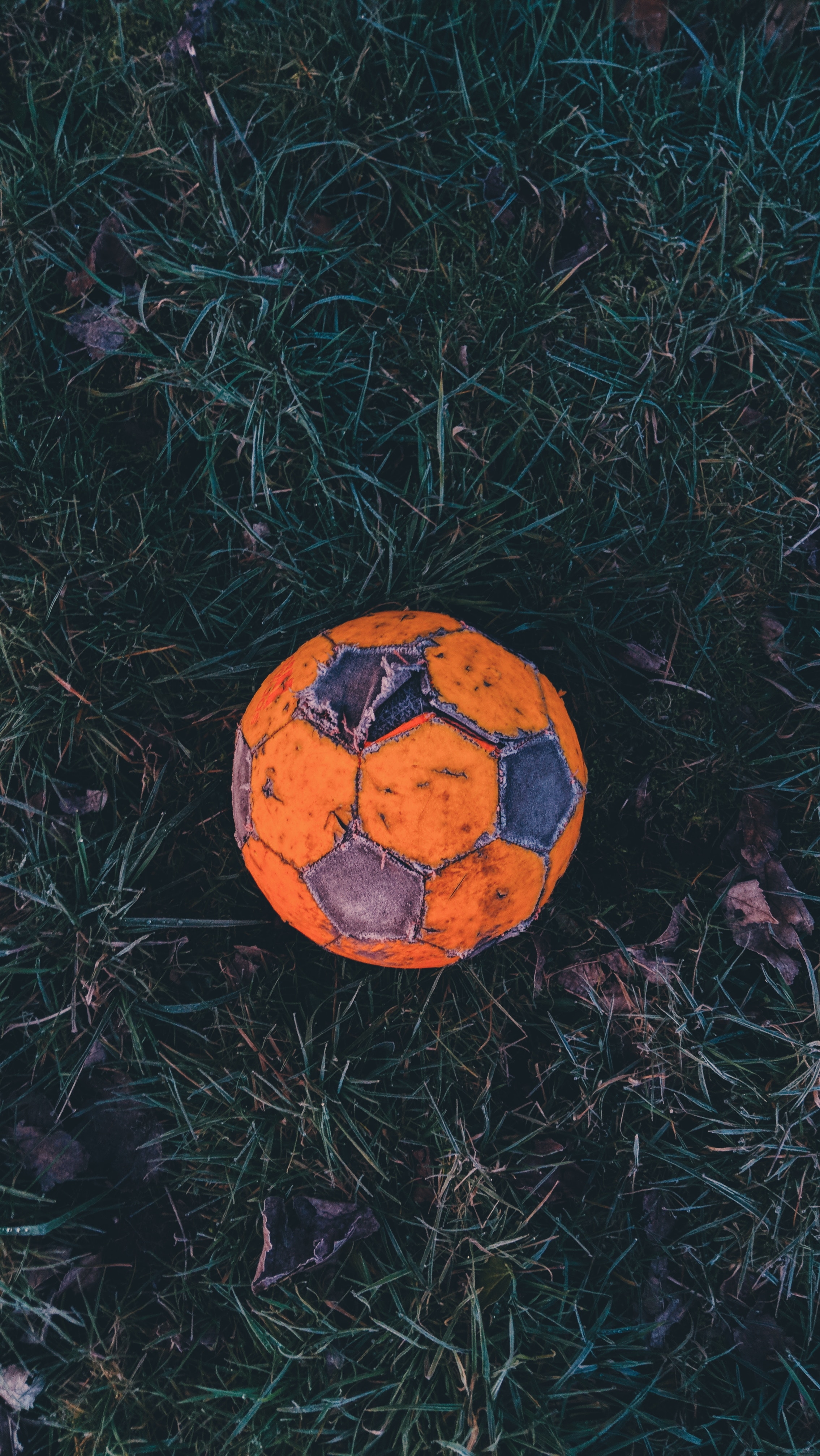120894 download wallpaper football, sports, grass, old, frost, hoarfrost, soccer ball screensavers and pictures for free