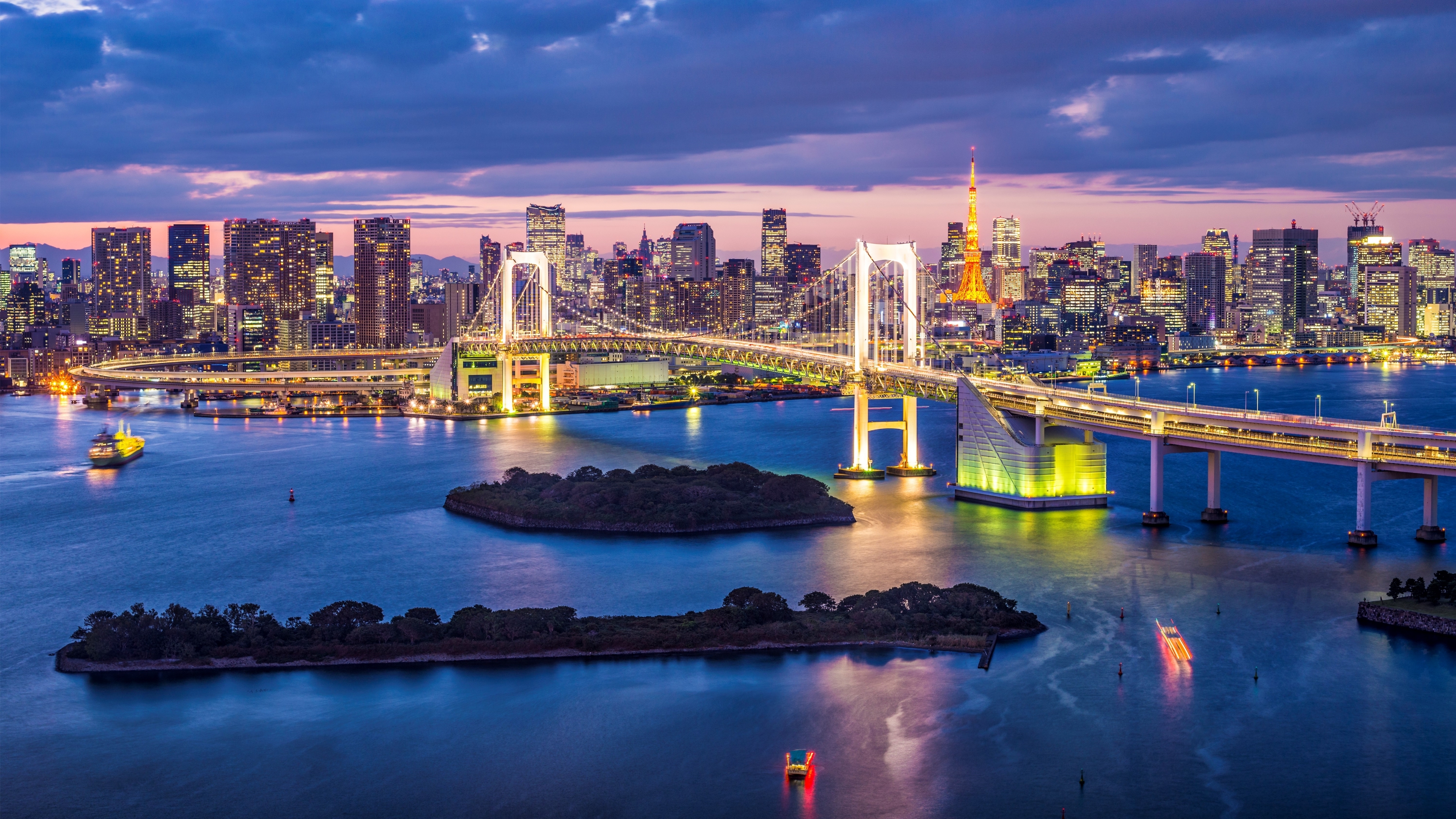 vertical wallpaper light, japan, man made, rainbow bridge, bay, bridge, building, city, island, skyline, tokyo bay, tokyo, bridges