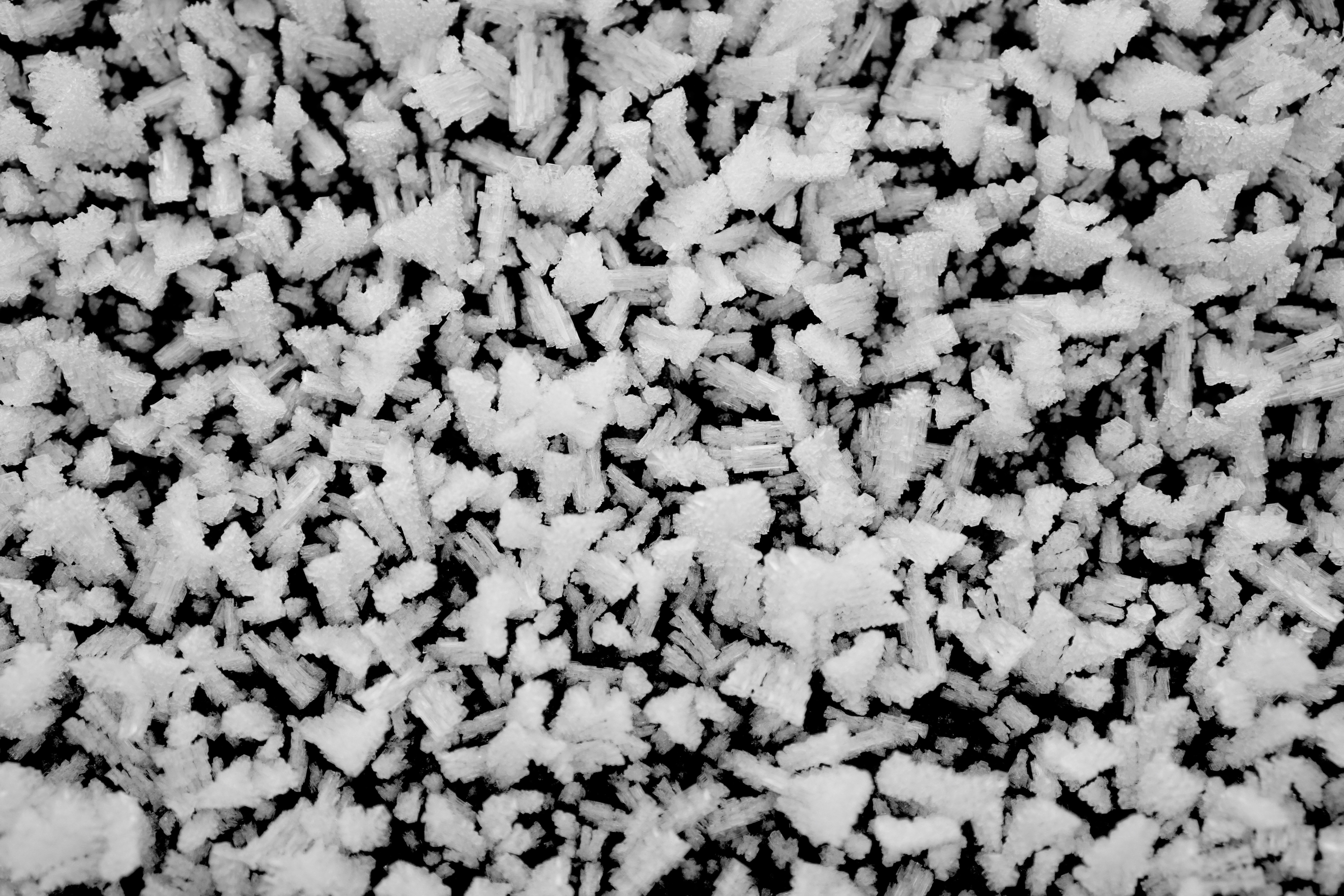 118710 Hintergrundbild herunterladen winter, eis, makro, frost, schwarz und weiß, schwarz-weiß, kristalle - Bildschirmschoner und Bilder kostenlos