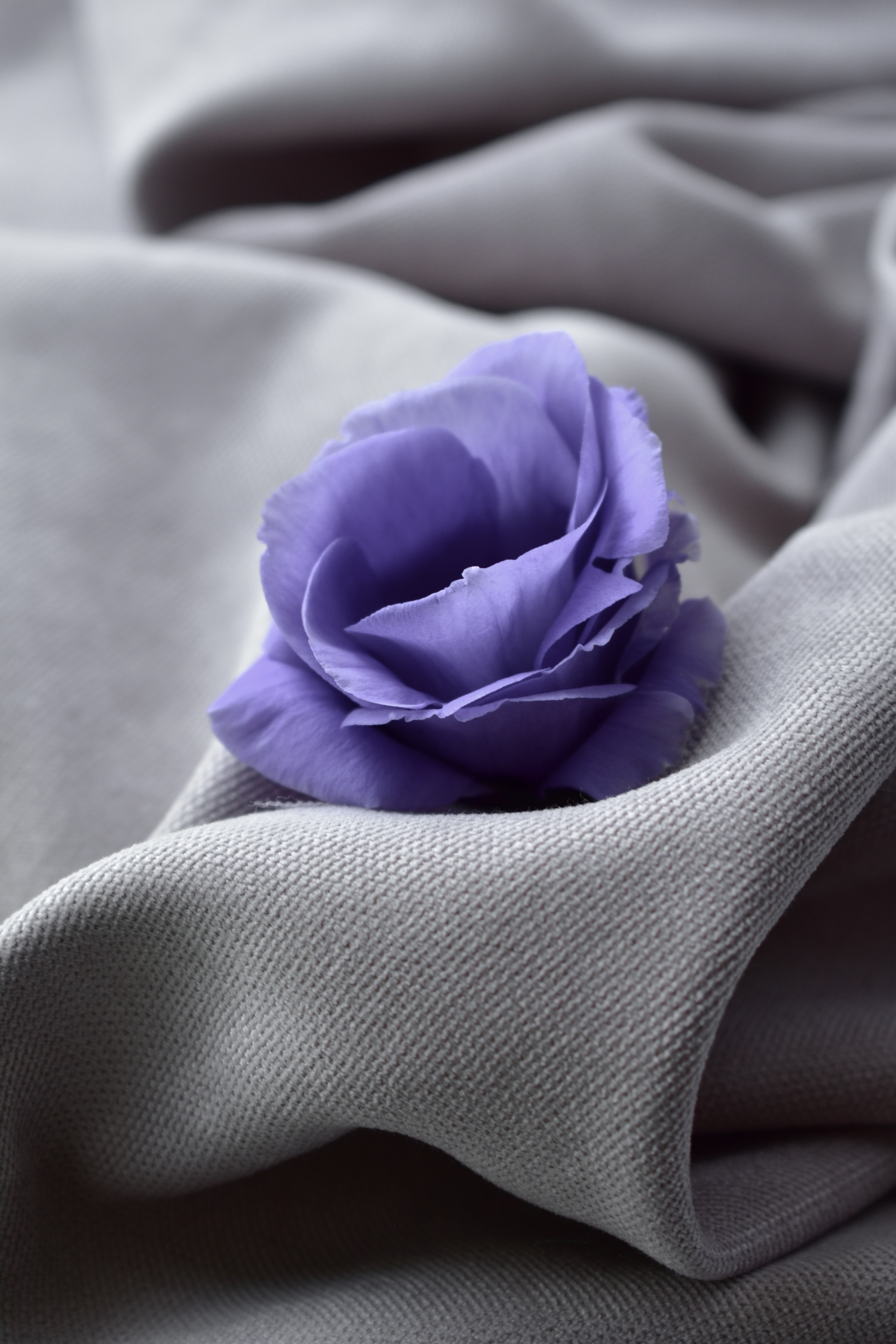 blue, flowers, flower, close up, cloth