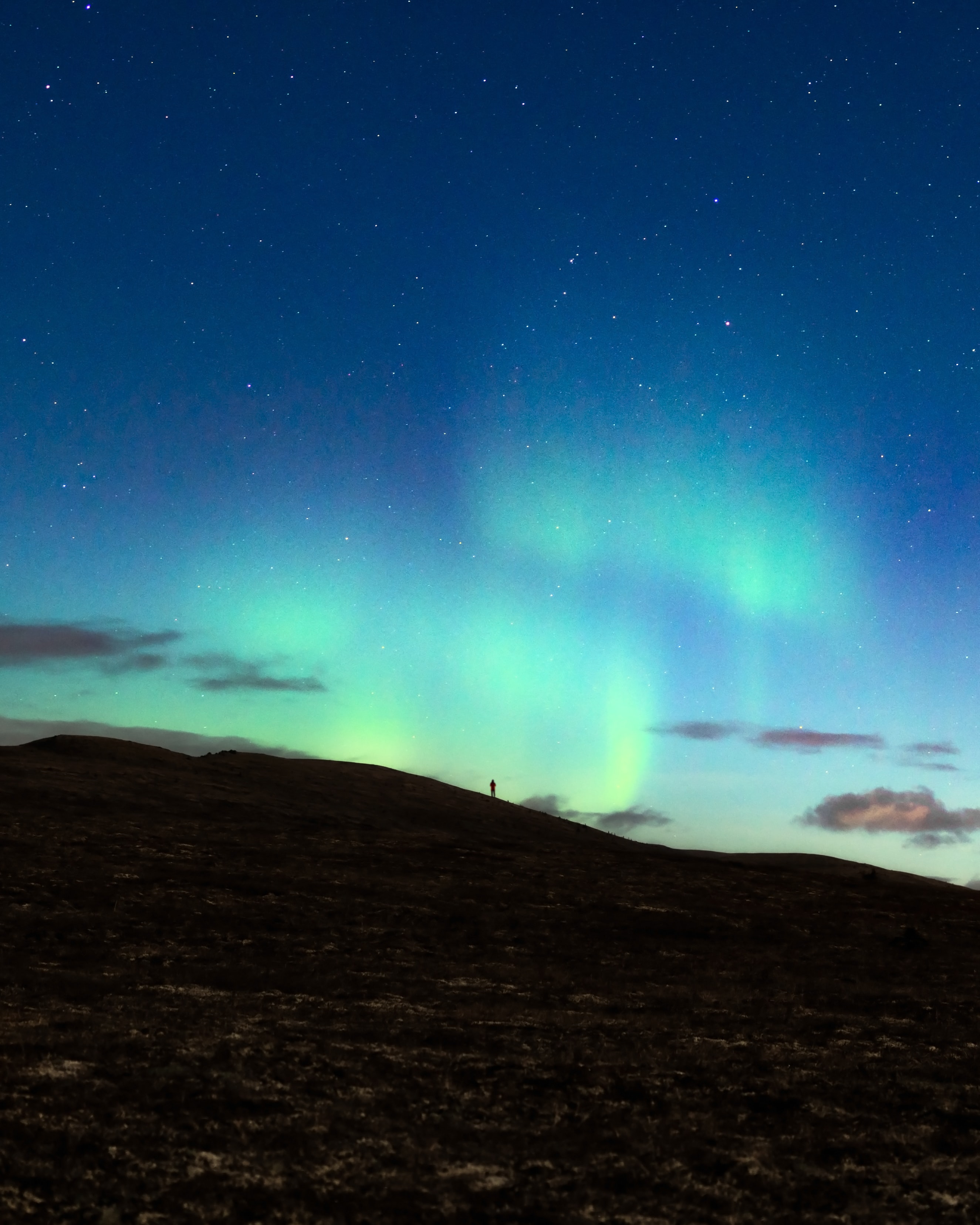 aurora borealis, night, dark, silhouette, loneliness, northern lights Smartphone Background