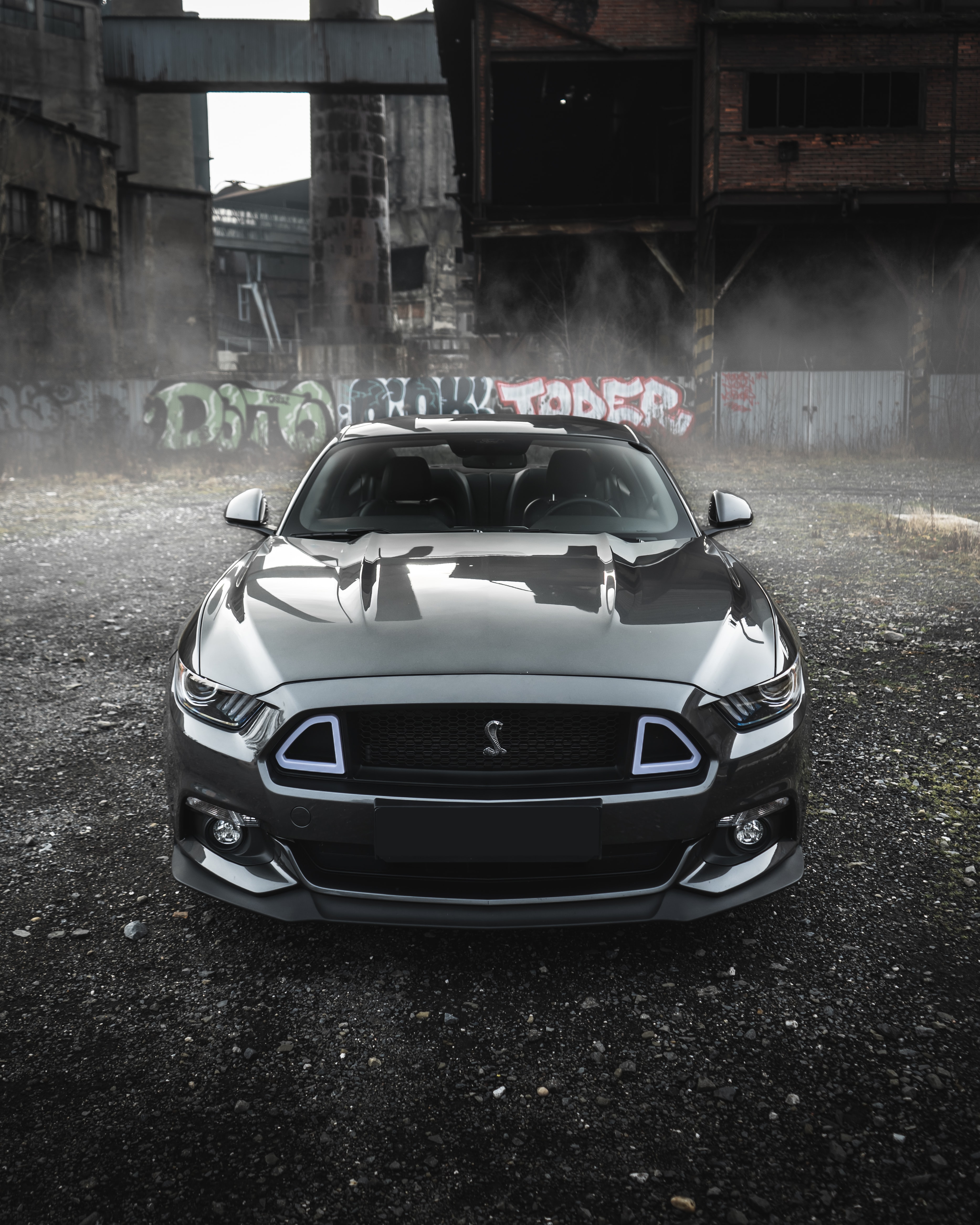 117922 Screensavers and Wallpapers Shelby for phone. Download cars, car, front view, grey, shelby, shelby mustang pictures for free