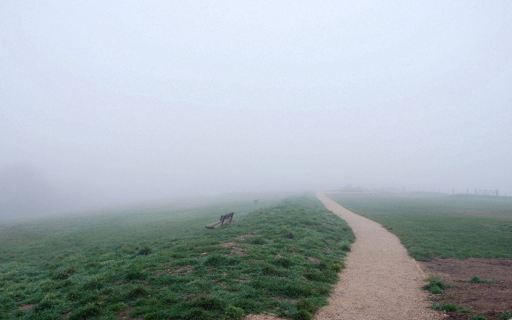 nature, road, trail, fog 4K iPhone