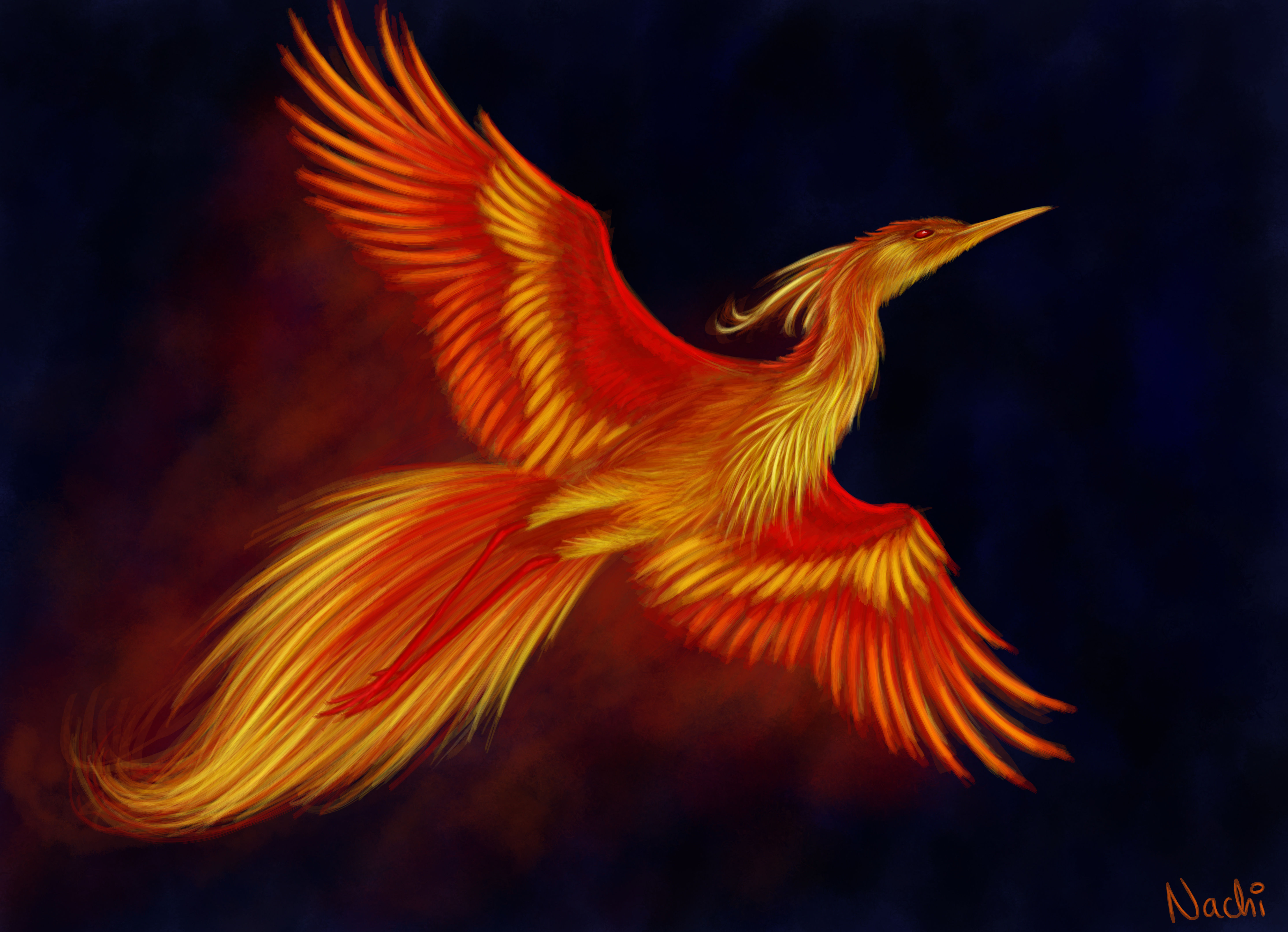 wings, phoenix, fantasy, bird, flight, fantasy animals download HD wallpaper