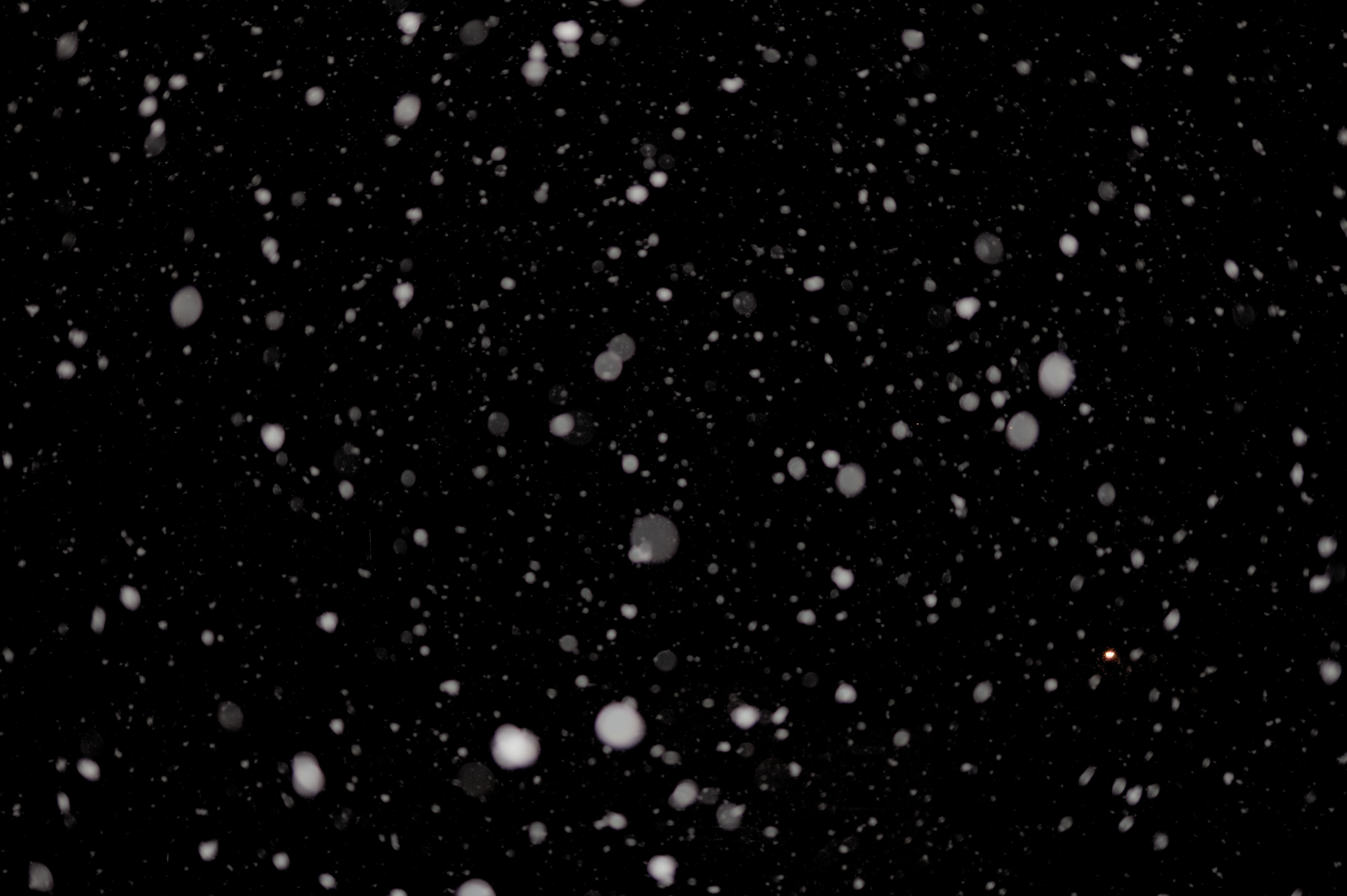 snow, black, glare, points, point