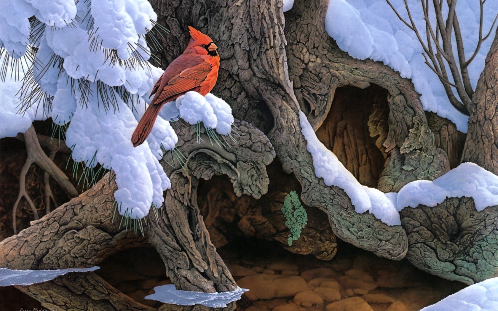 bird, cardinal, wood, tree 4K iPhone