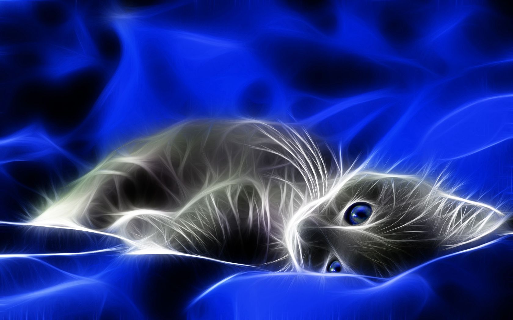 Bed kitten, abstract, grey, blue 8k Backgrounds