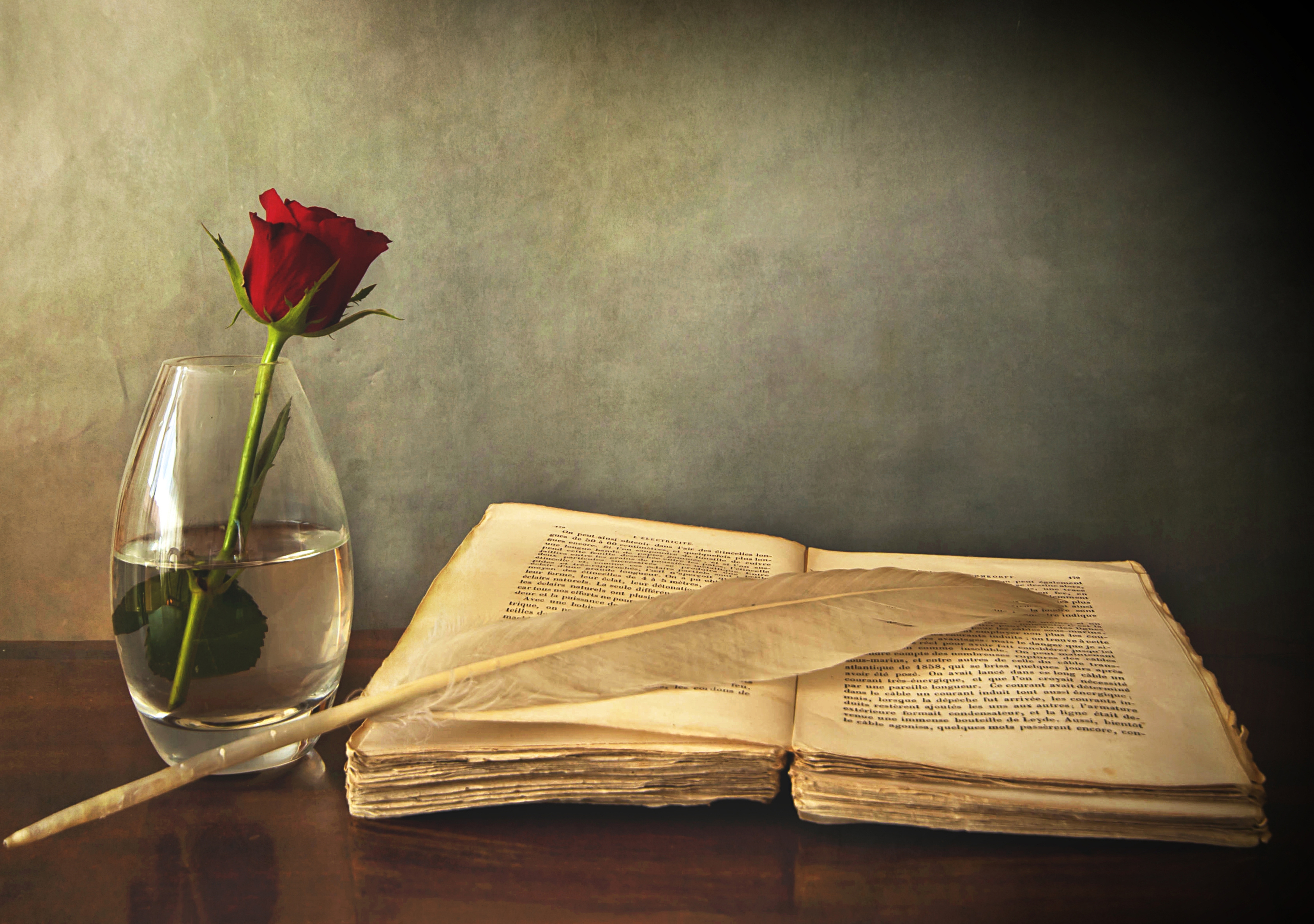 red, miscellanea, feather, miscellaneous, rose flower, rose, old, table, vase, book, pen