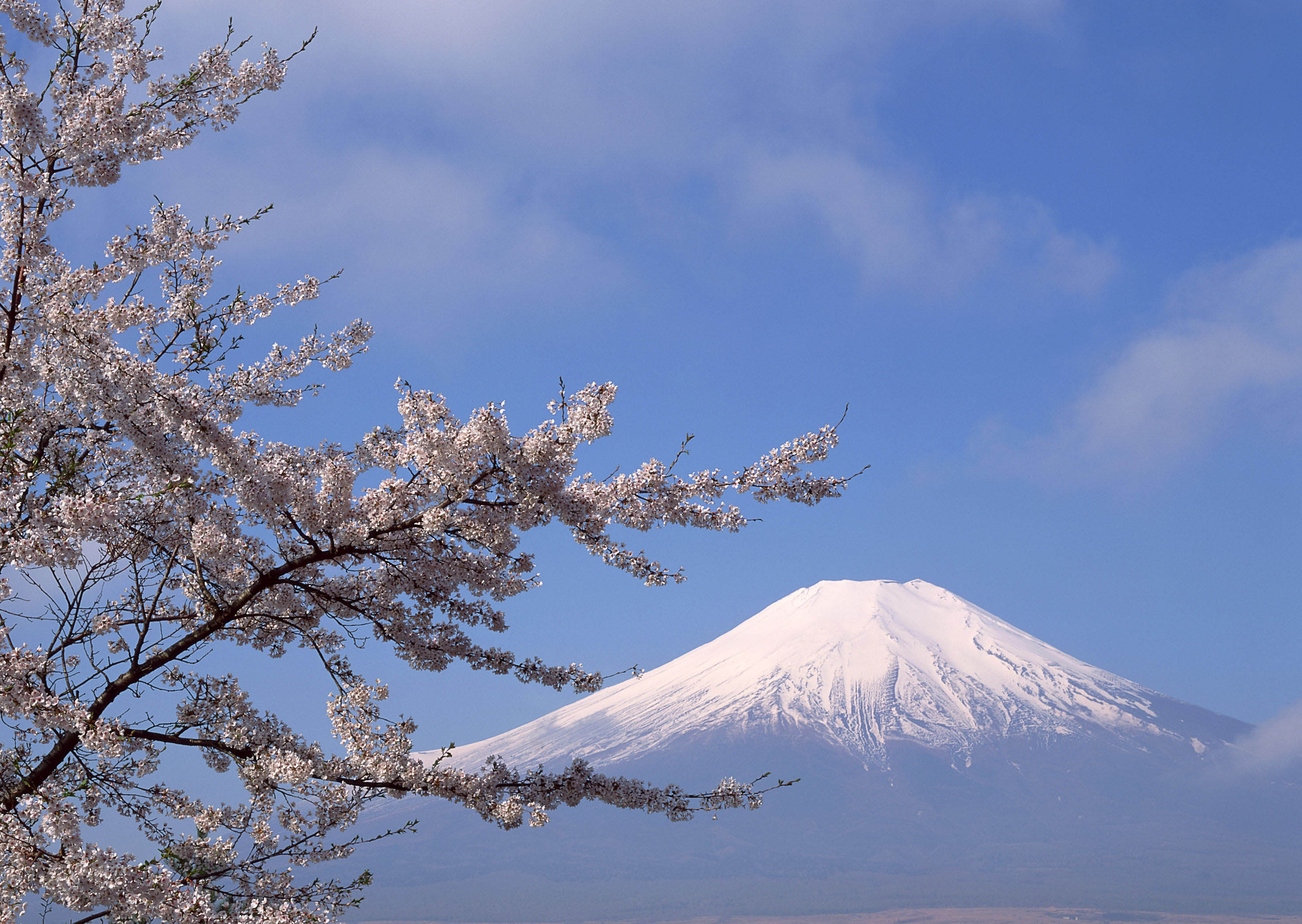 お使いの携帯電話の171265スクリーンセーバーと壁紙富士山。 の写真を無料でダウンロード