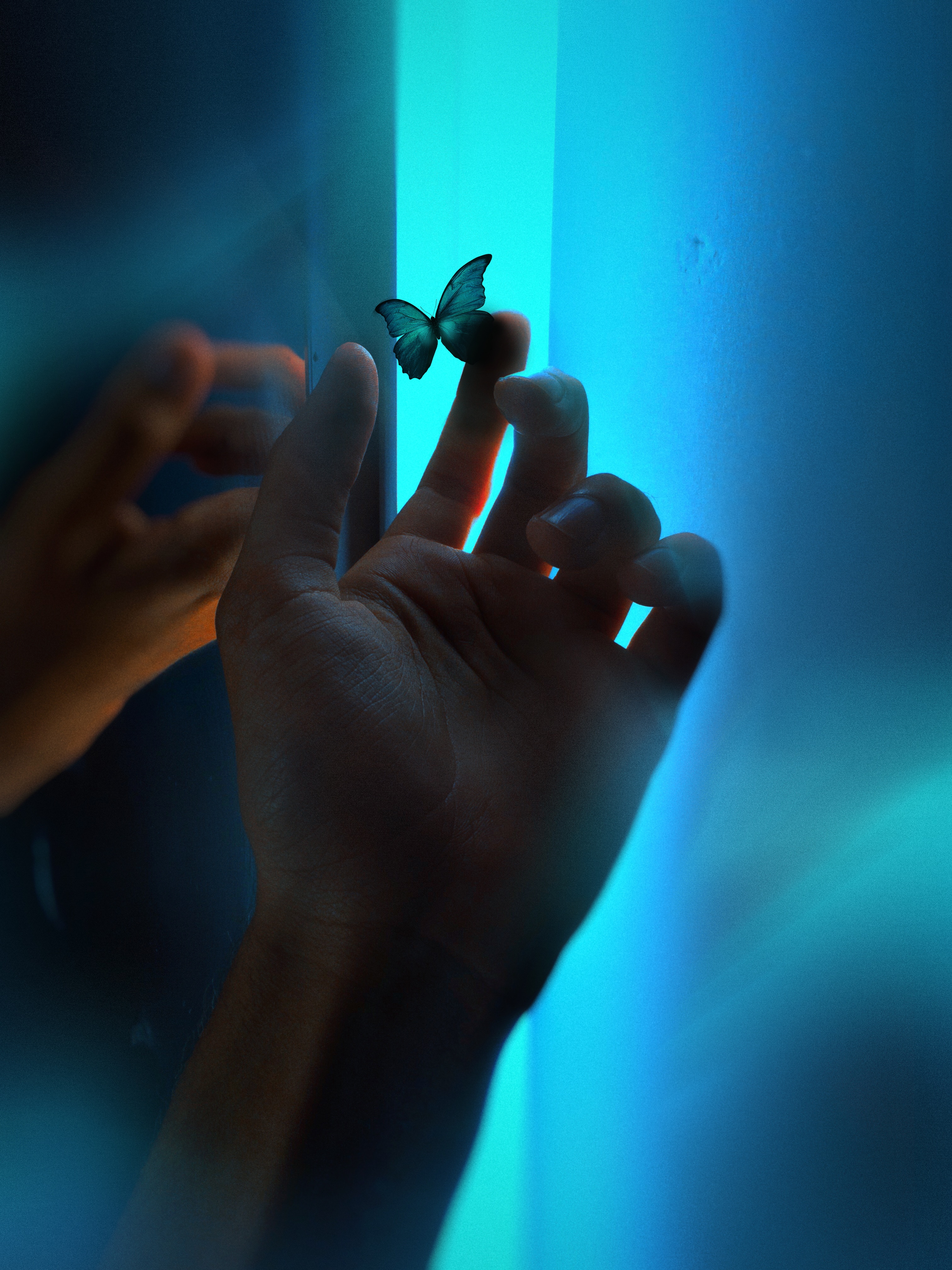 butterfly, blue, hand, miscellanea, miscellaneous, neon, glow, fingers iphone wallpaper