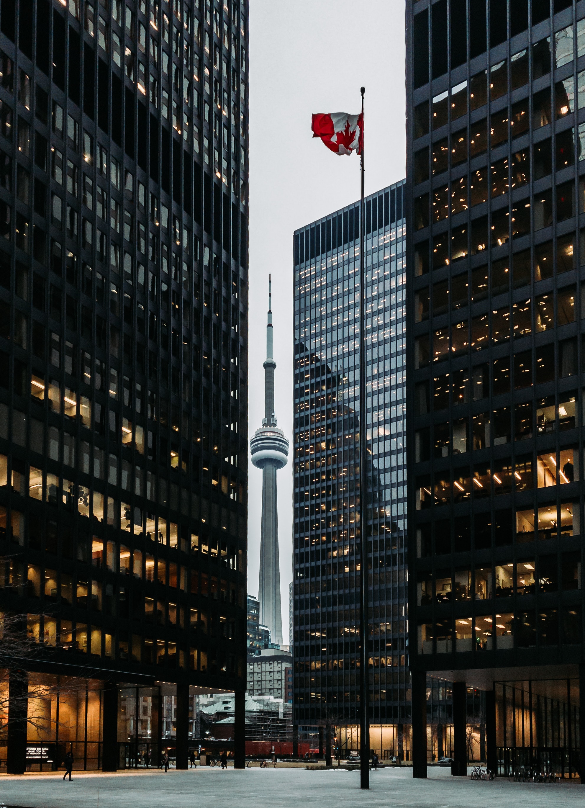 toronto, architecture, building, cities Hd 1080p Mobile