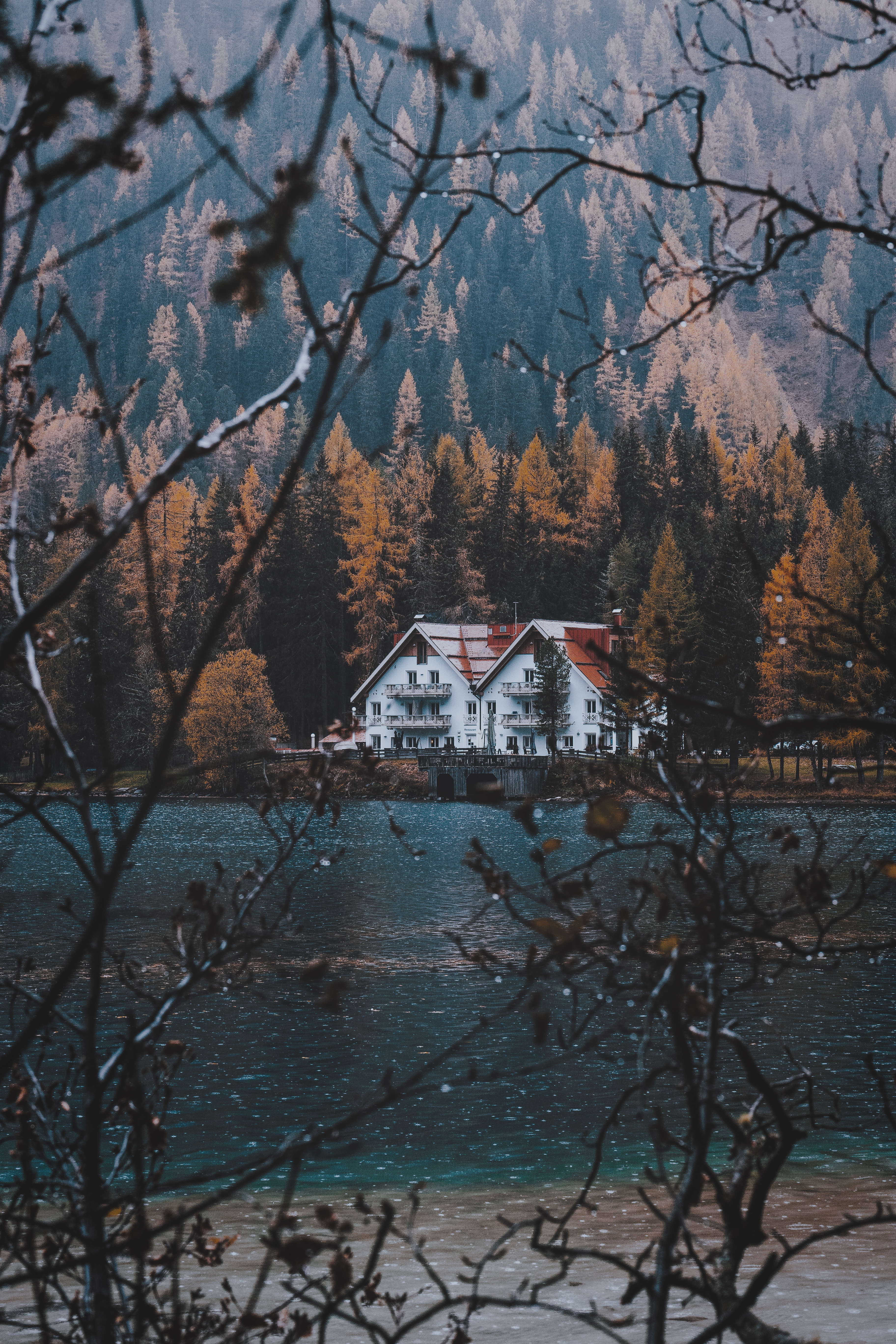 small house, nature, autumn, lake, branches, lodge